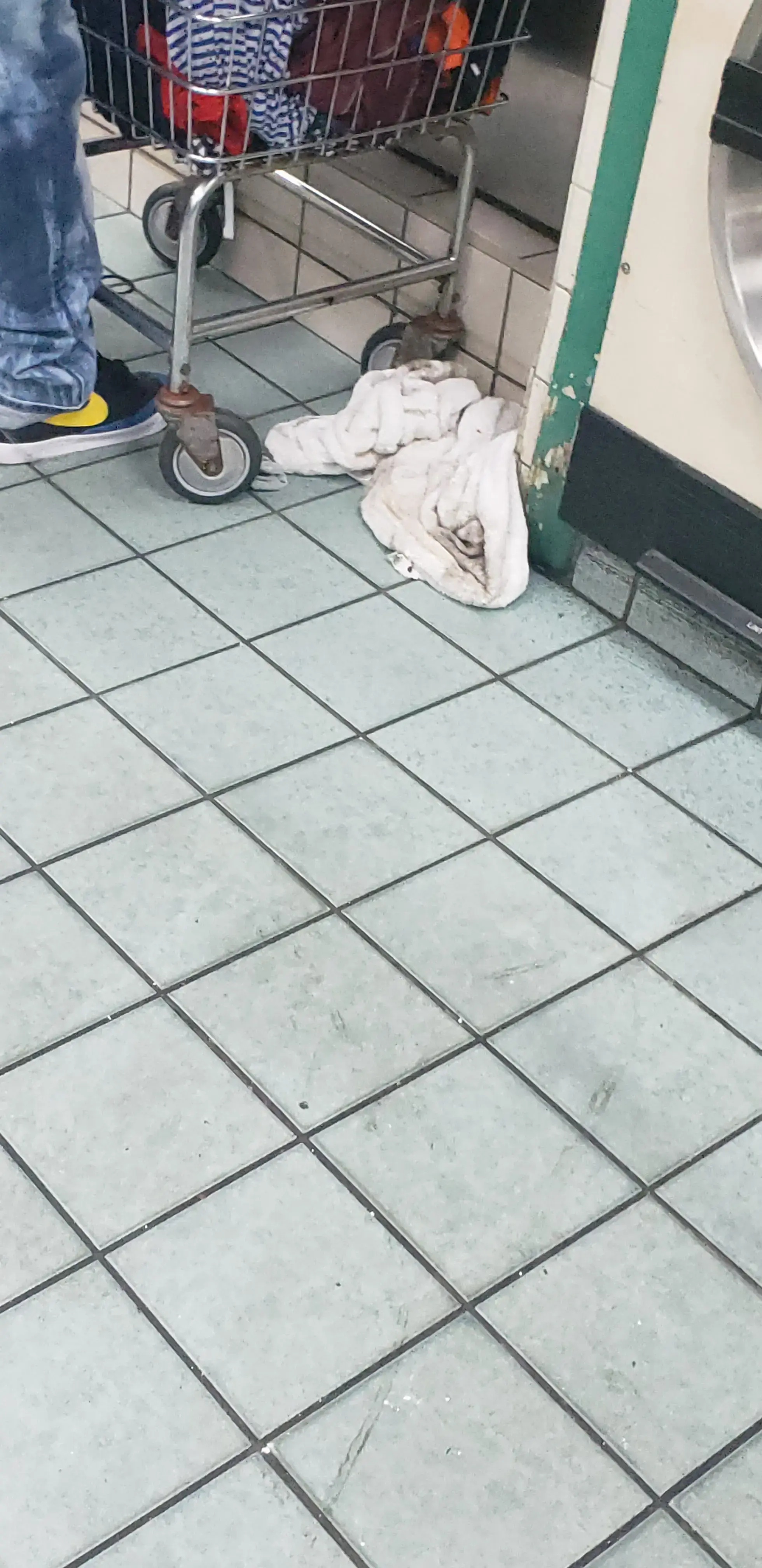 House of Bubbles Laundromat - Image 13