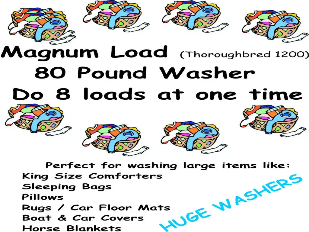 House Springs Coin Laundry thumbnail 19