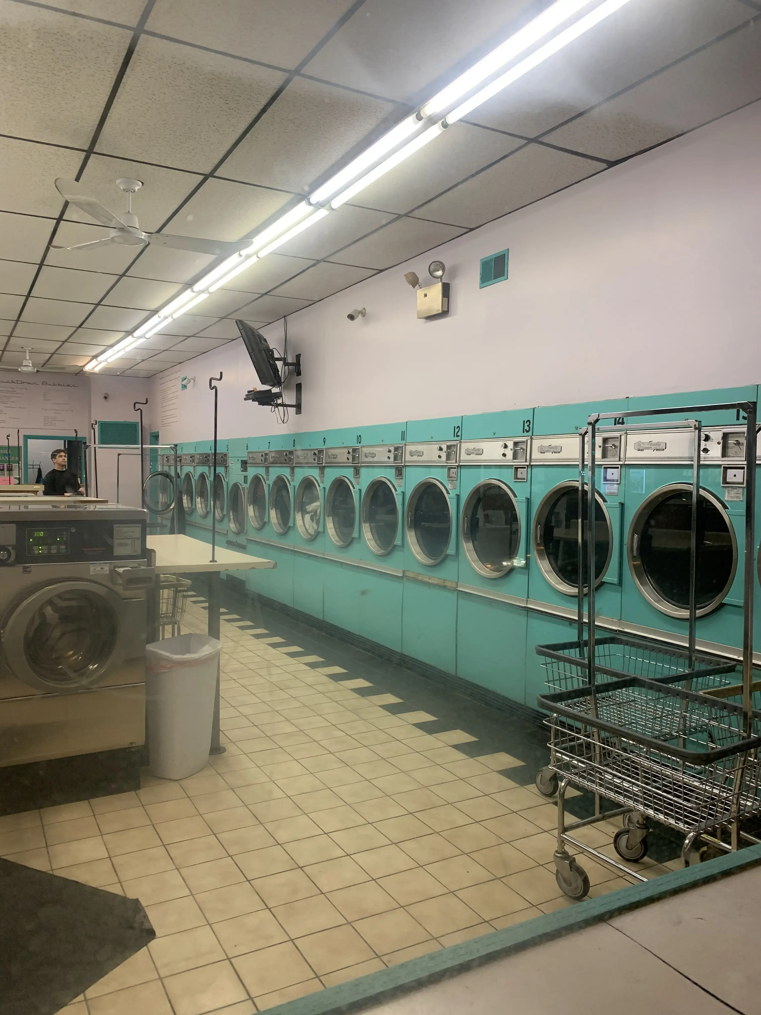 Humboldt Park Bubbles - Image 12