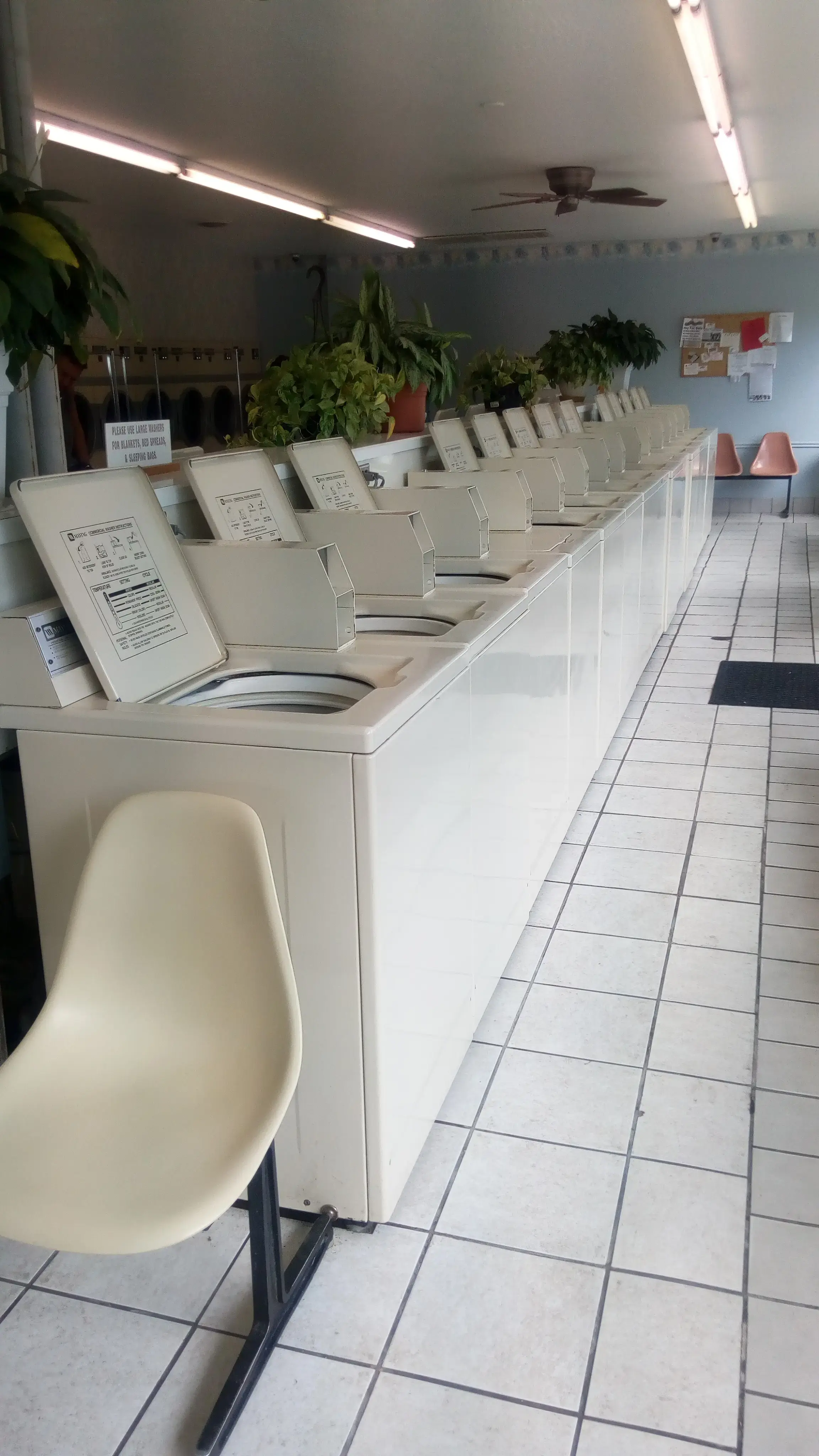 Illinois Street Coin Laundry thumbnail 4