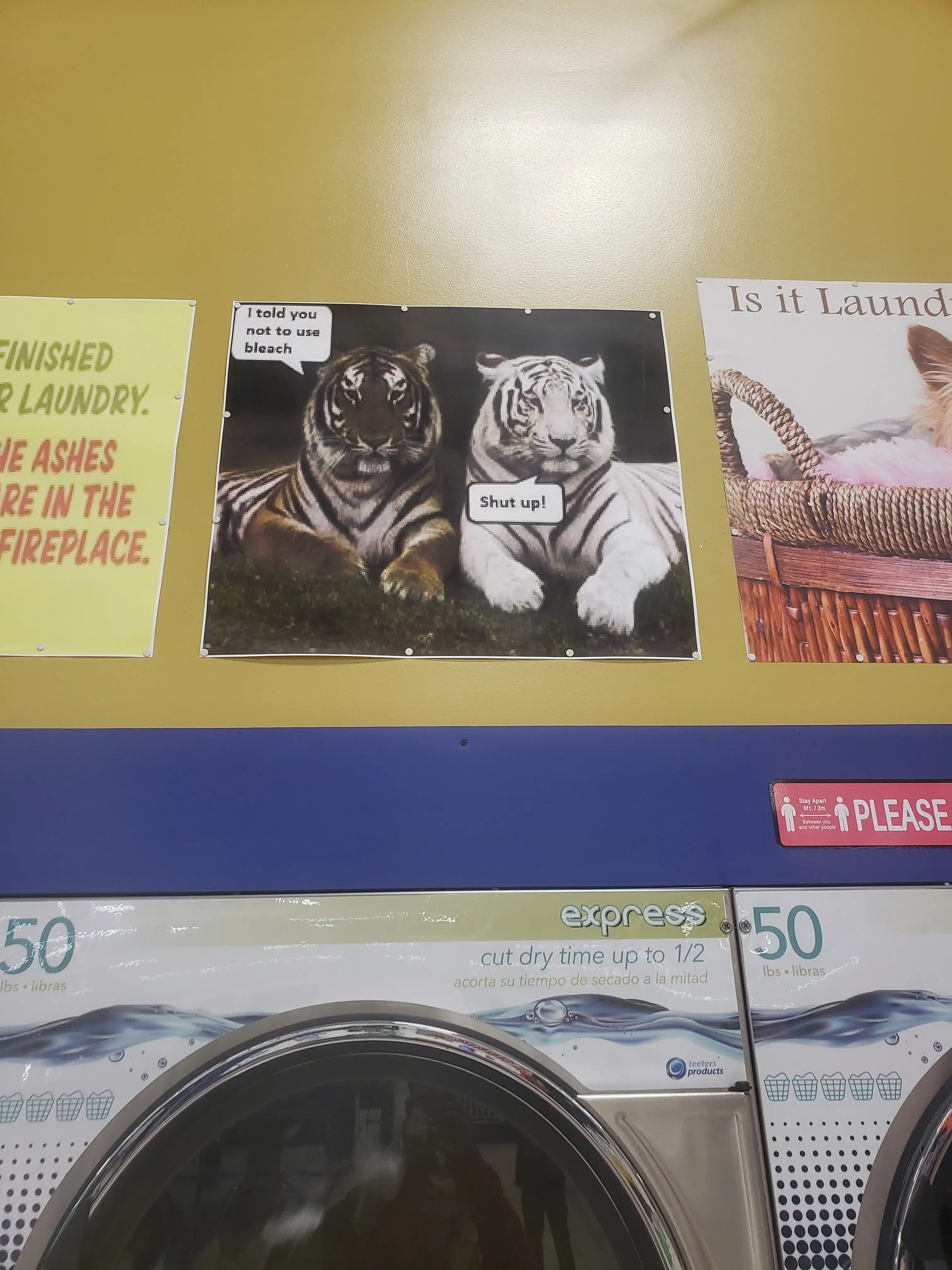 Indyland II Laundromat thumbnail 16