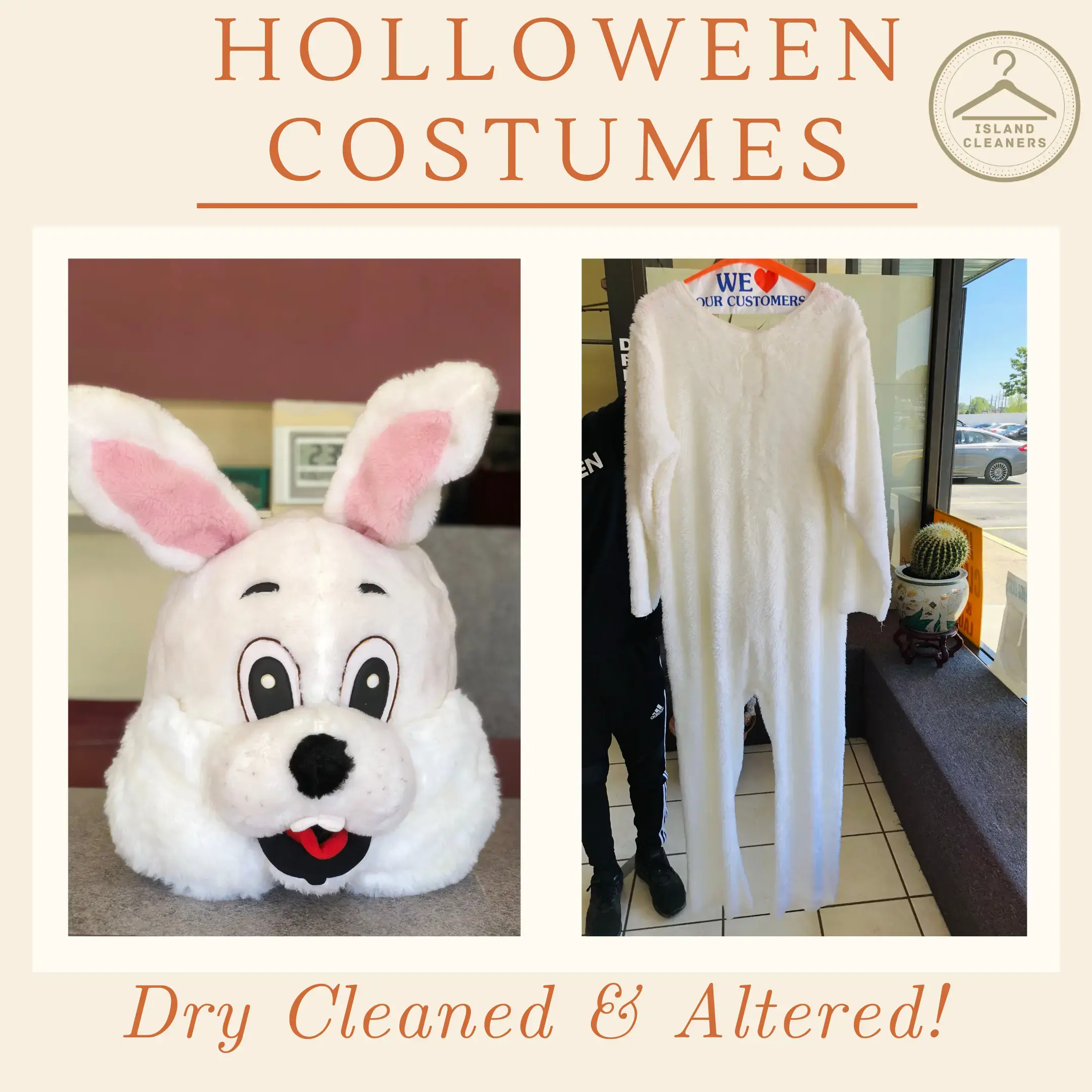 Island Cleaners & Shirt Laundry - Image 9