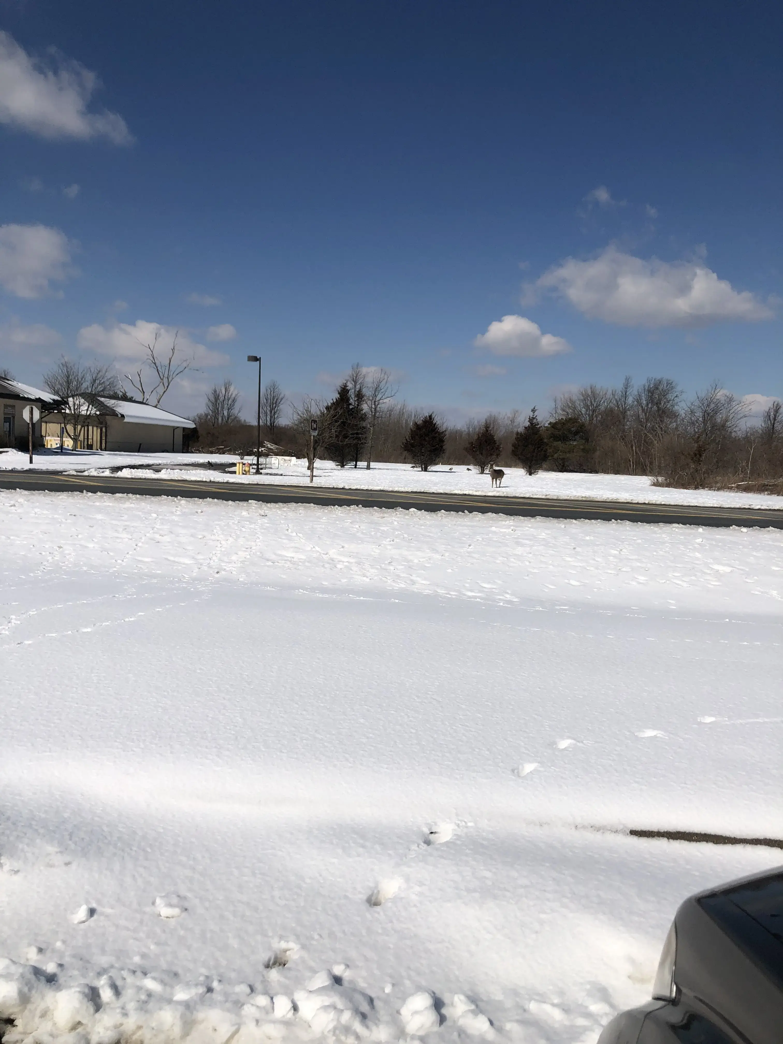 Island Laundromat - Image 13