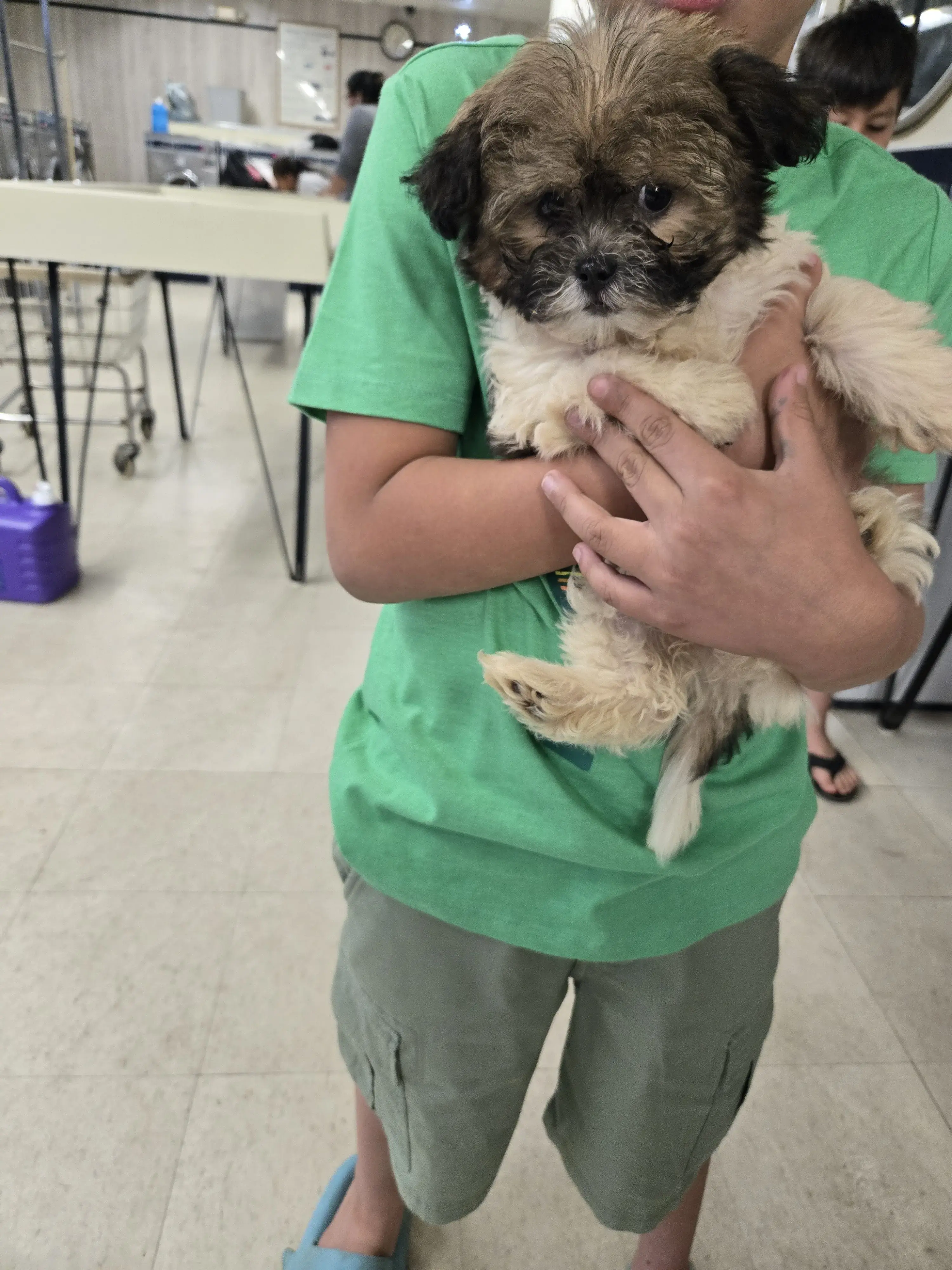 J & D Coin Laundry - Image 4