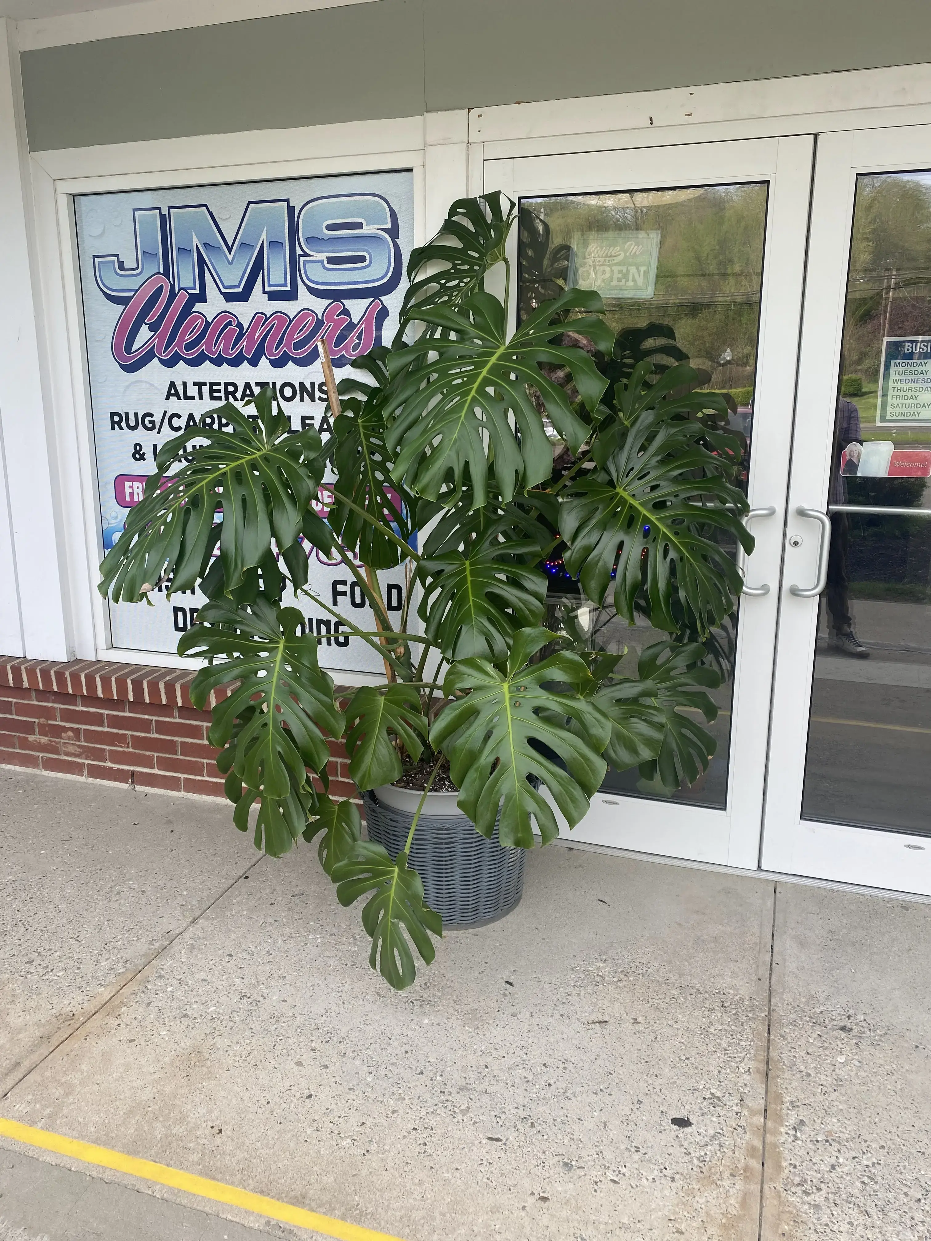 J M S Dry Cleaners & Laundry Service - Image 6