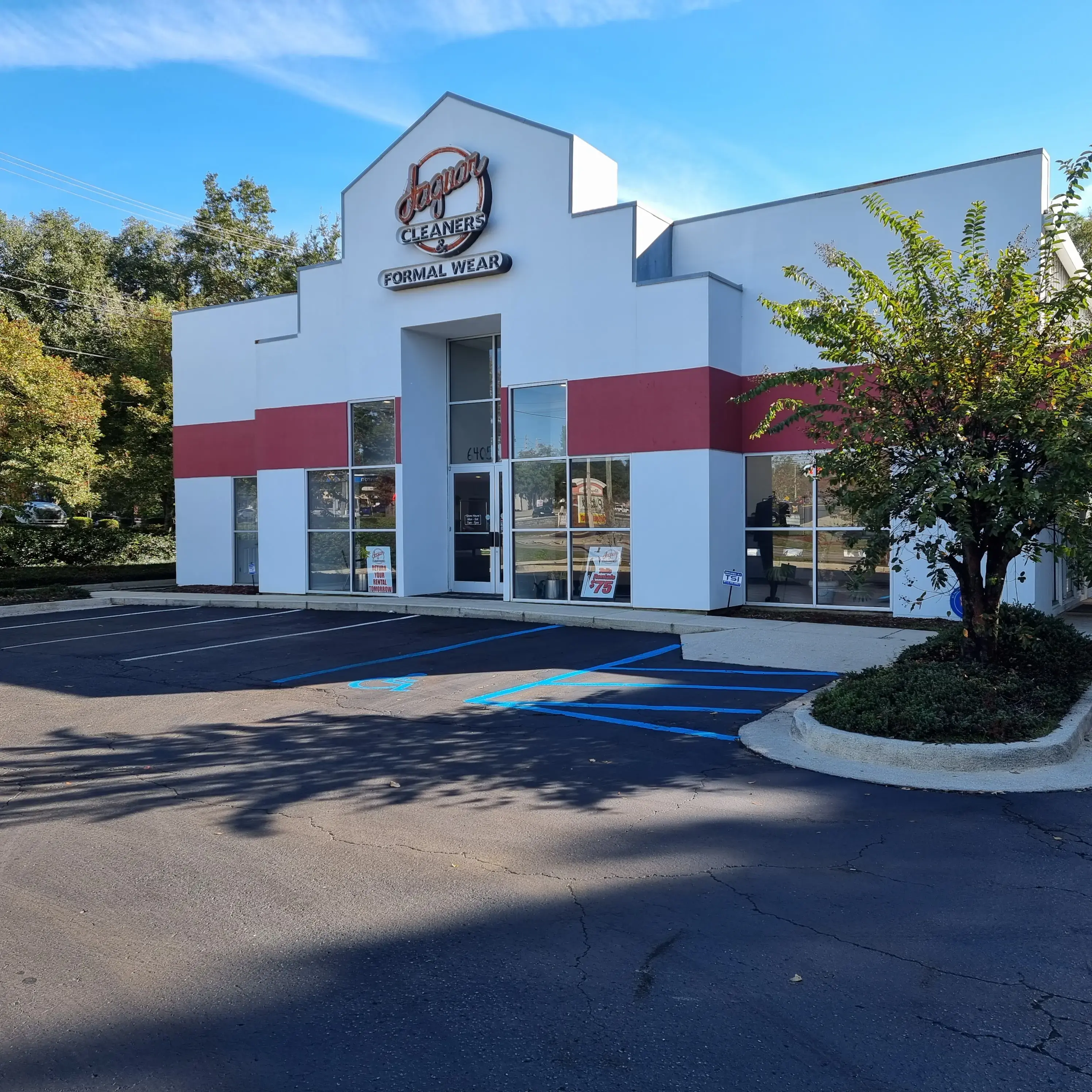 Jaguar Cleaners - Image 7