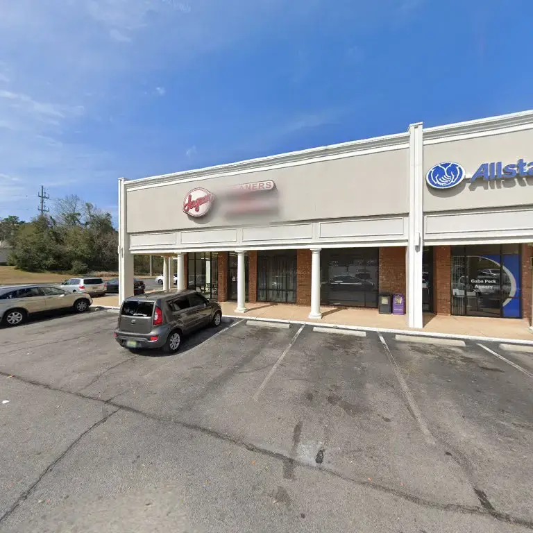 Jaguar Cleaners thumbnail 3