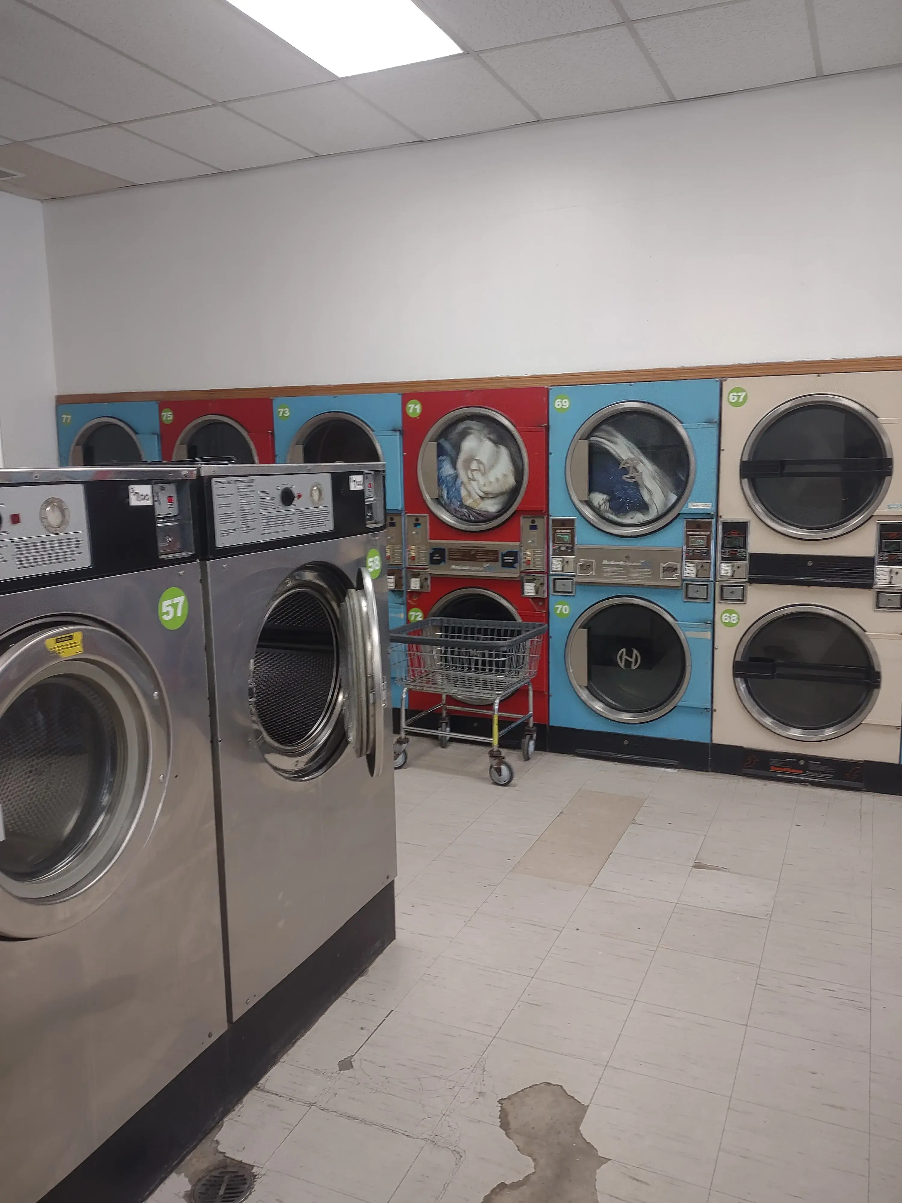 Jenny's Coin Laundry - Image 2