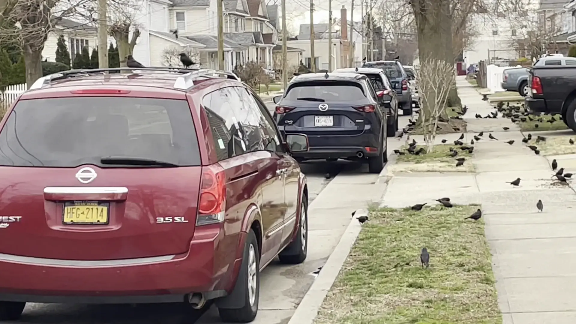 Jericho Laundromat thumbnail 7