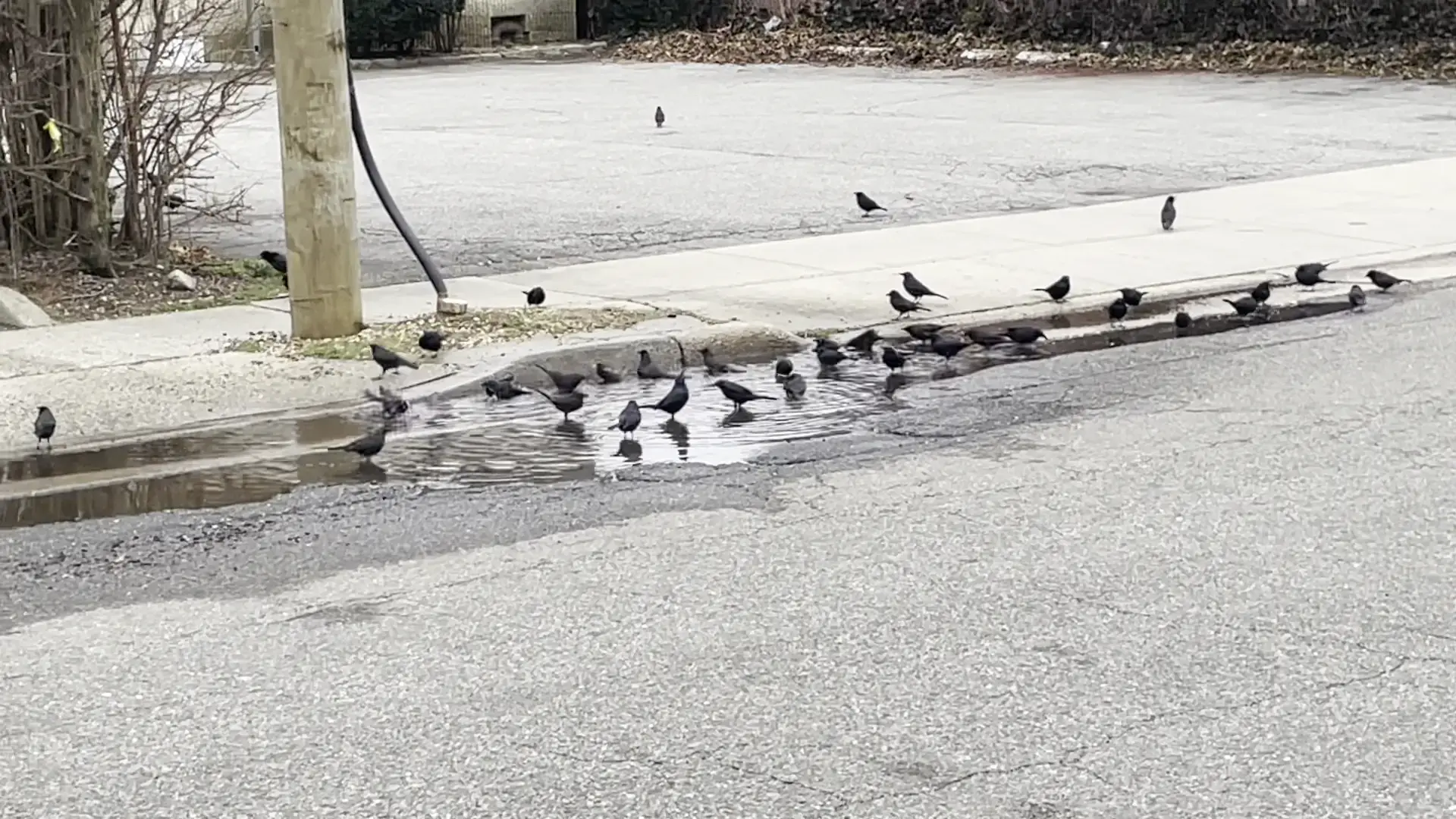 Jericho Laundromat - Image 4