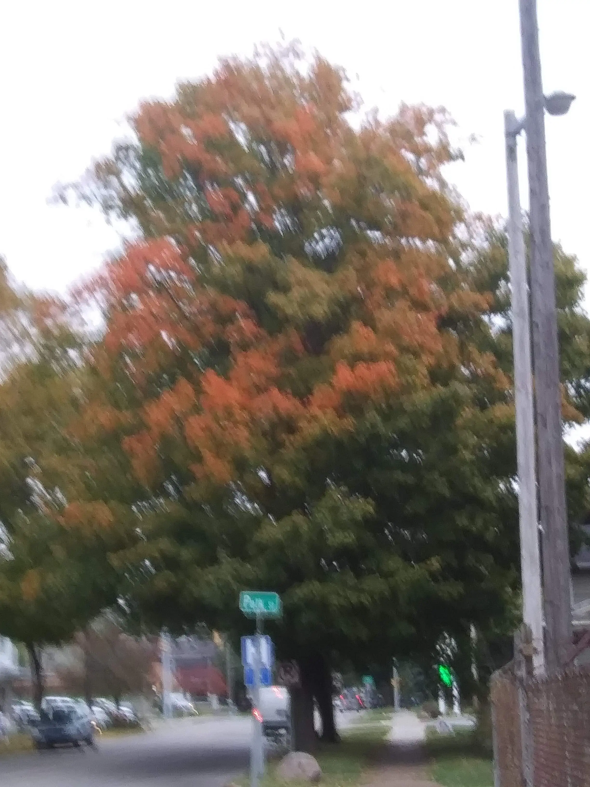 JJ's Washroom thumbnail 13