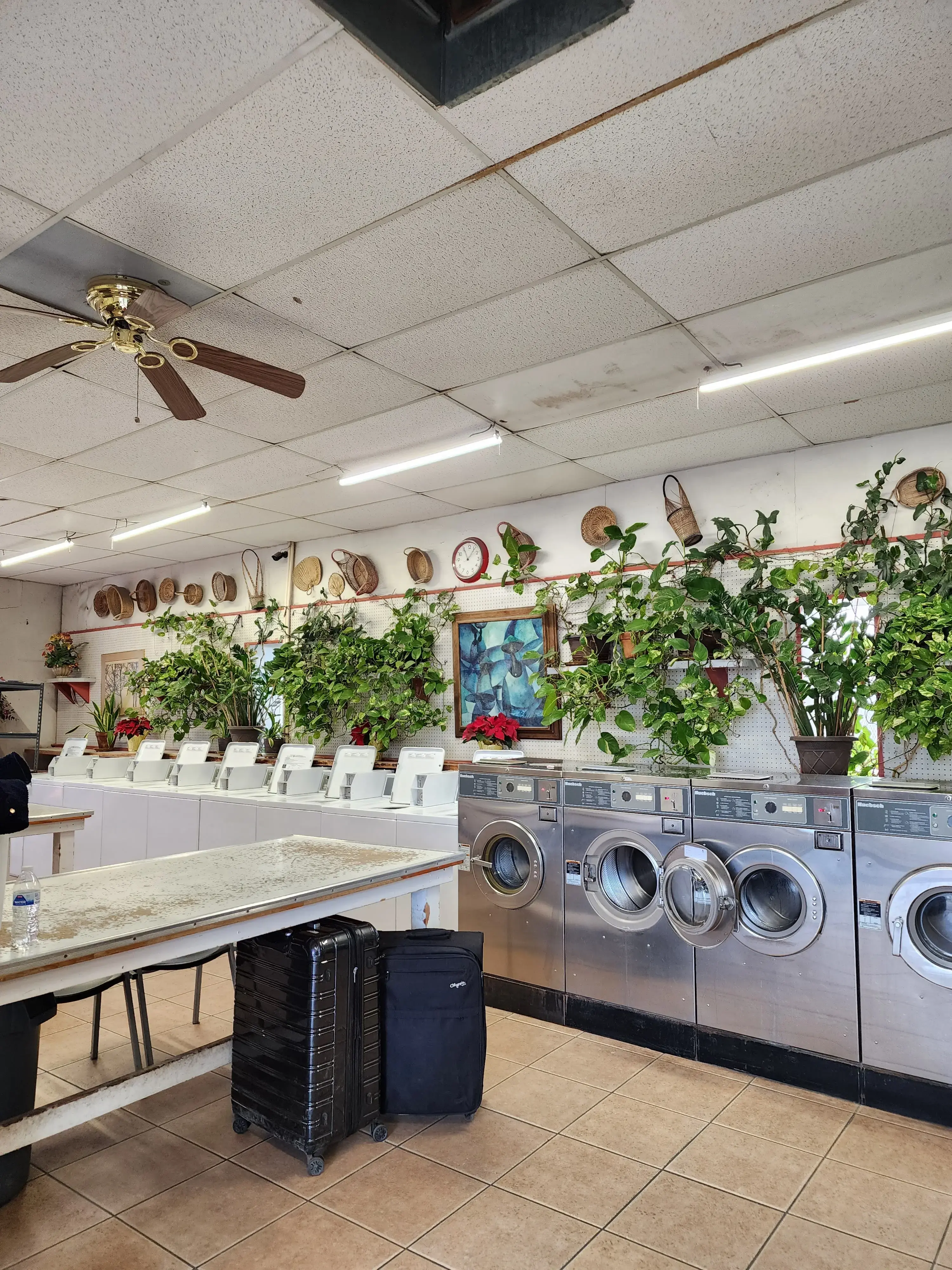 Jo-Ann's Laundromat thumbnail 14
