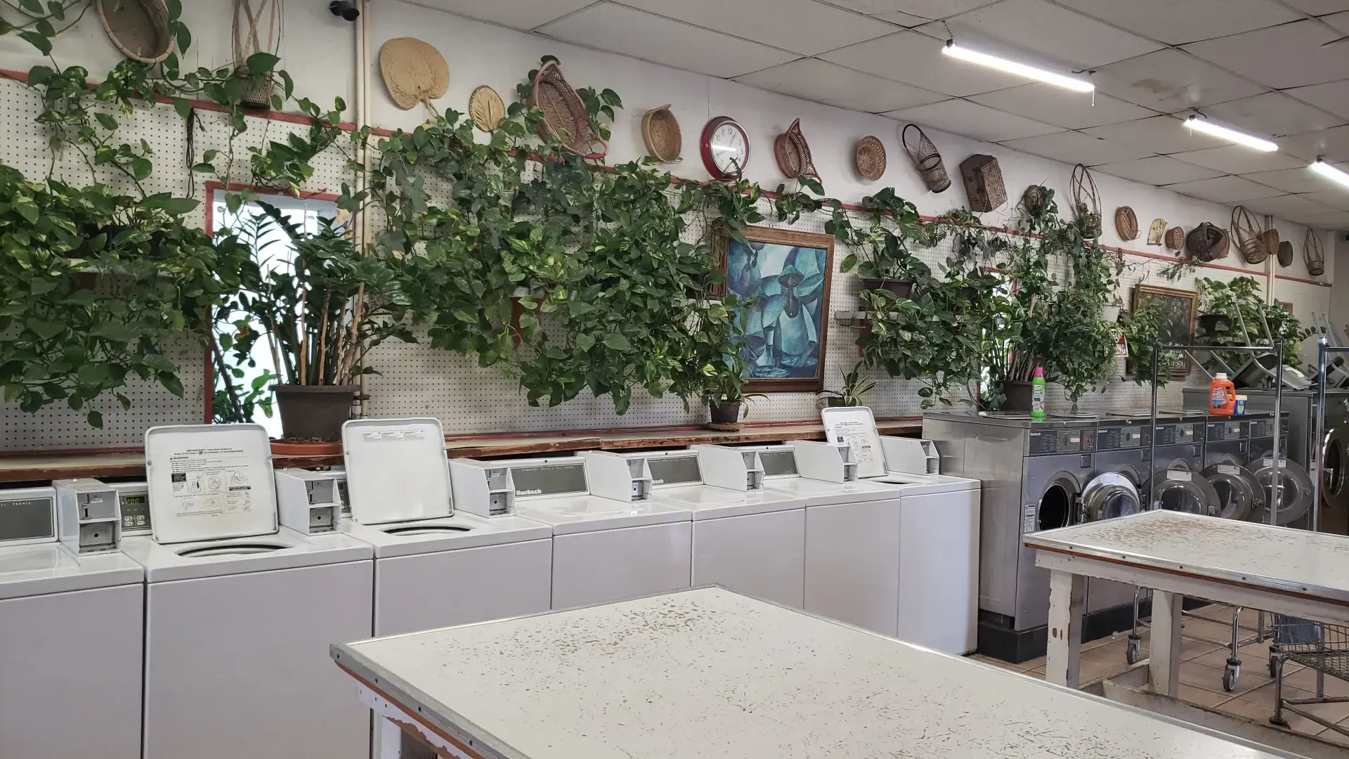Jo-Ann's Laundromat - Image 5