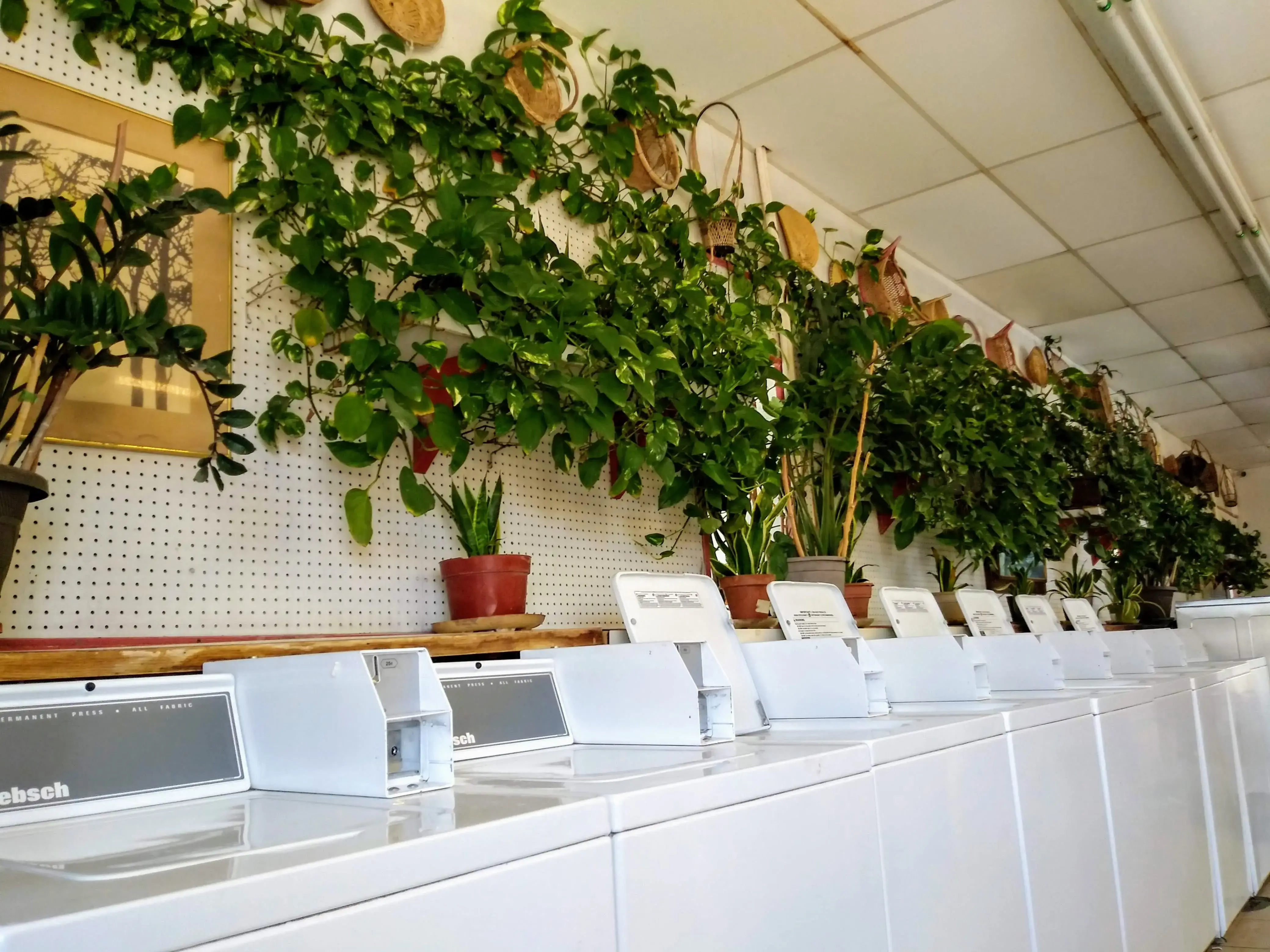 Jo-Ann's Laundromat - Image 11