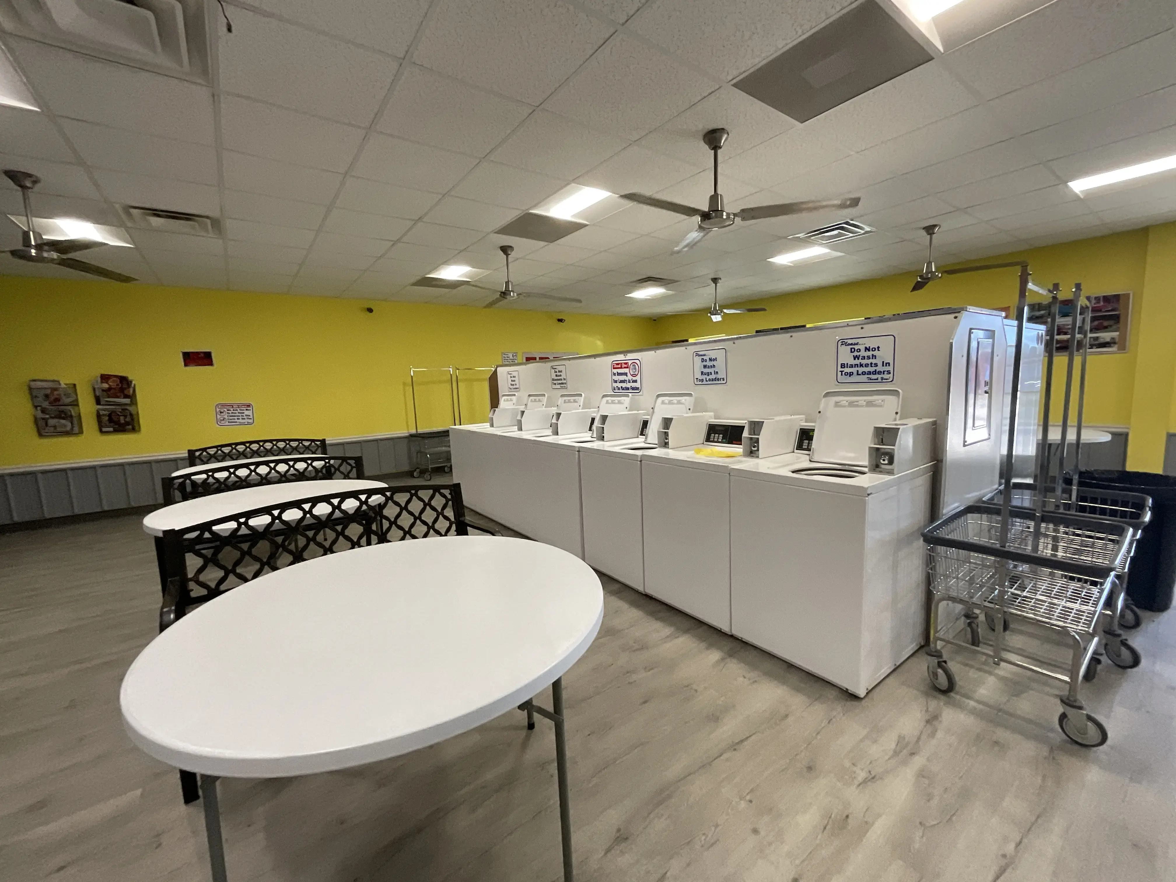 Jodie Coin Laundry - Image 4