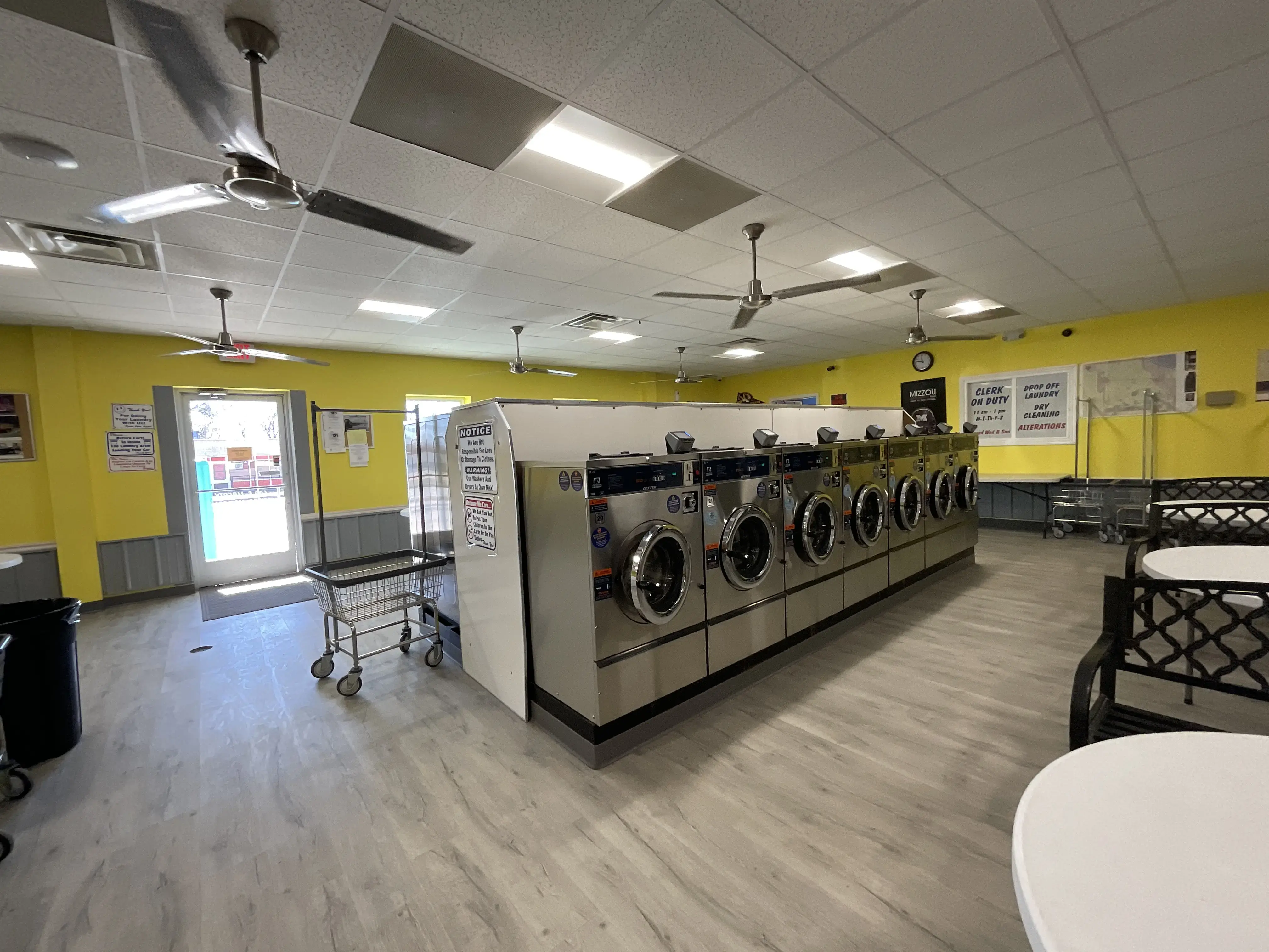 Jodie Coin Laundry thumbnail 12