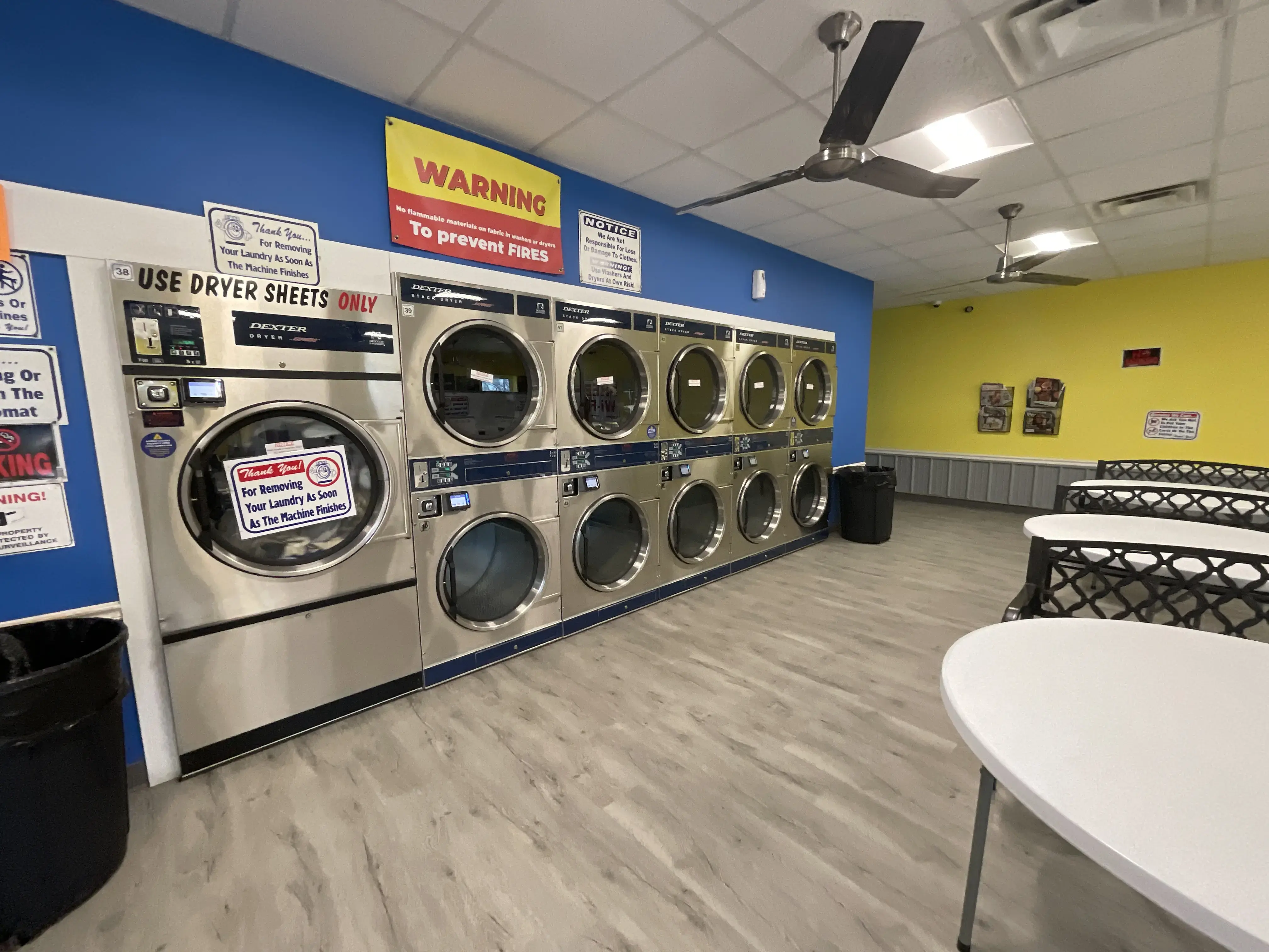 Jodie Coin Laundry thumbnail 14