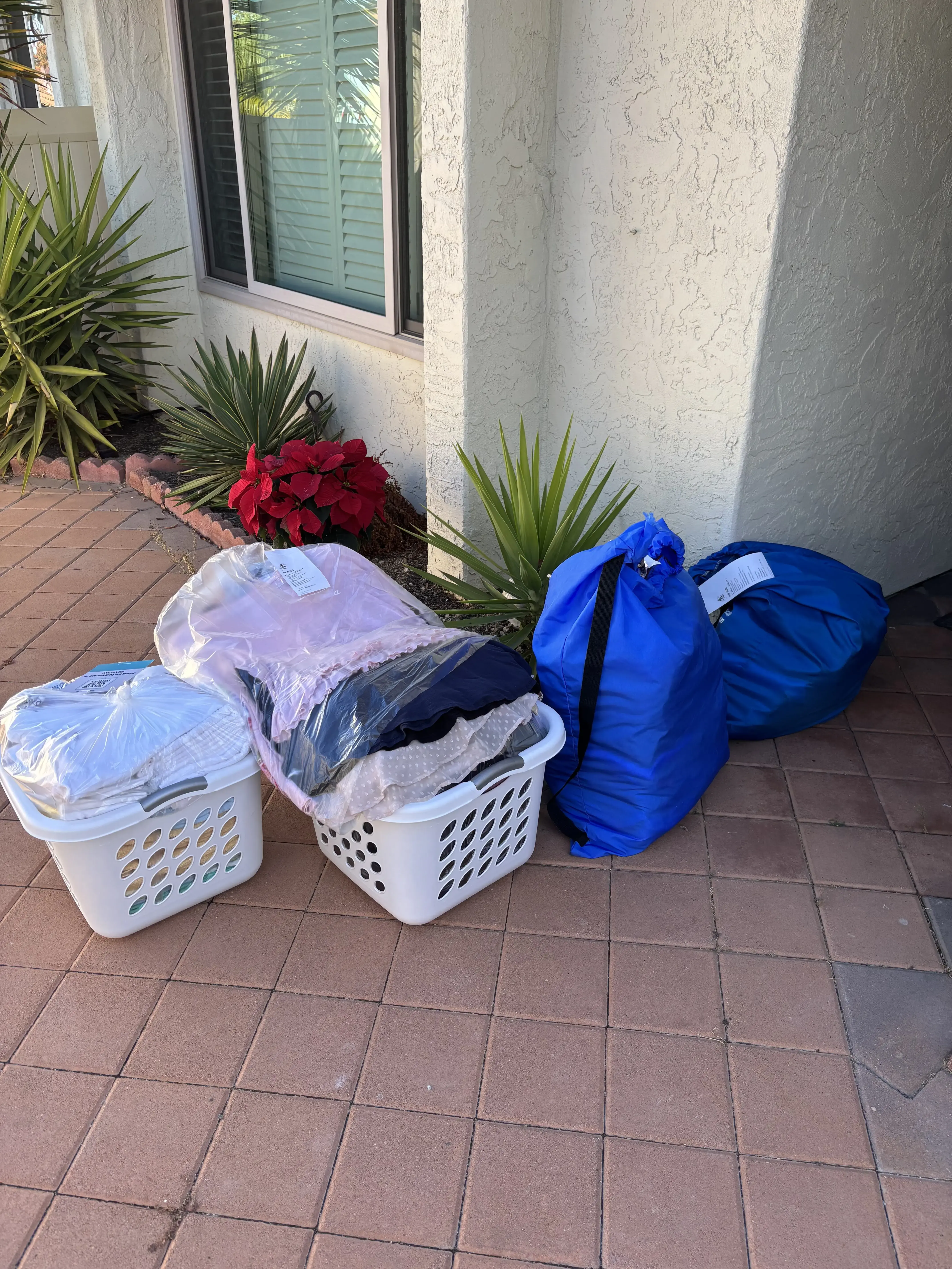 Jolly Clean Giant - Image 11