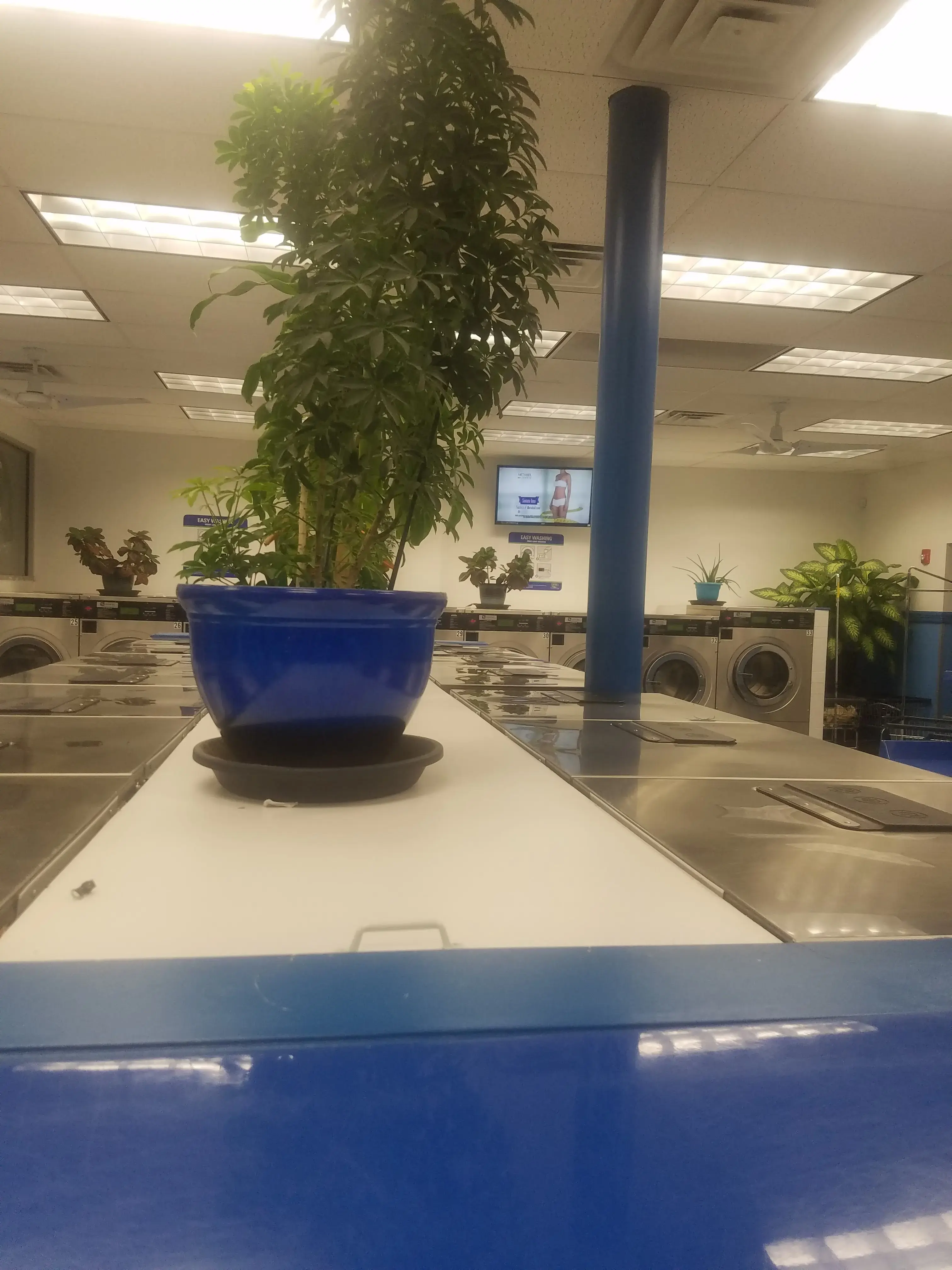 JOMAR Maytag Laundromat - Image 9