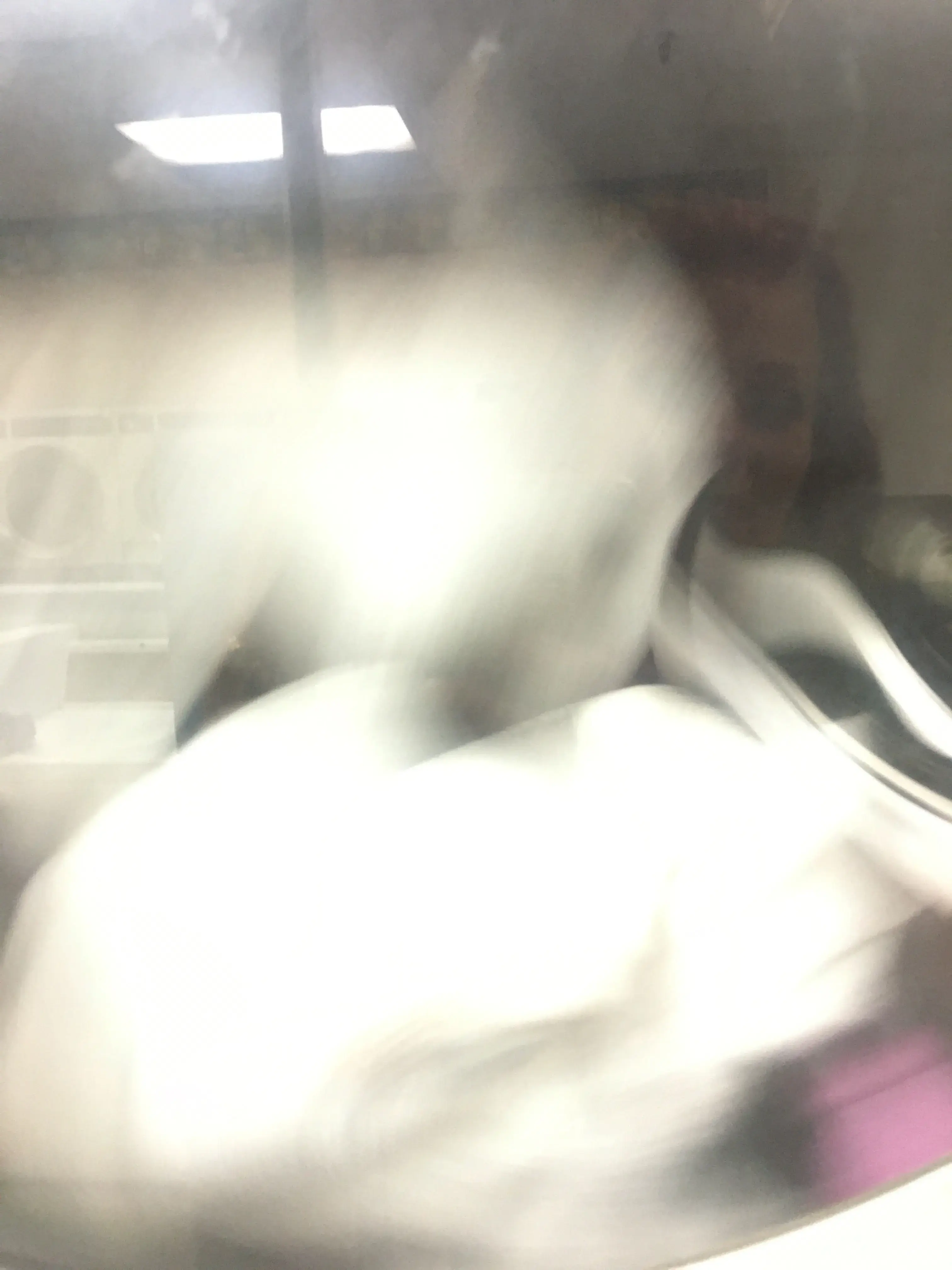 Jones Coin Laundry thumbnail 17