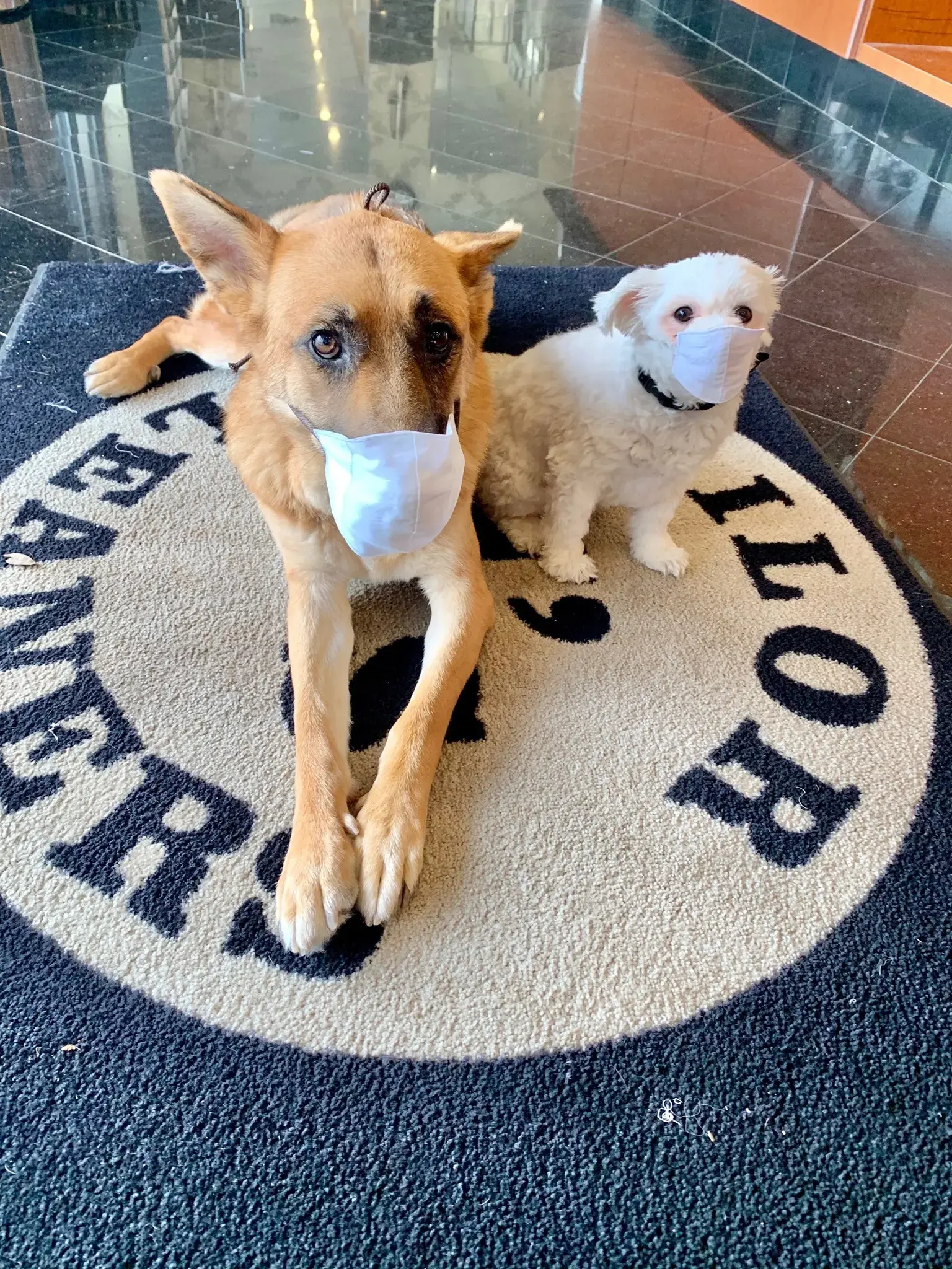 J's Tailor & Cleaners at Park location