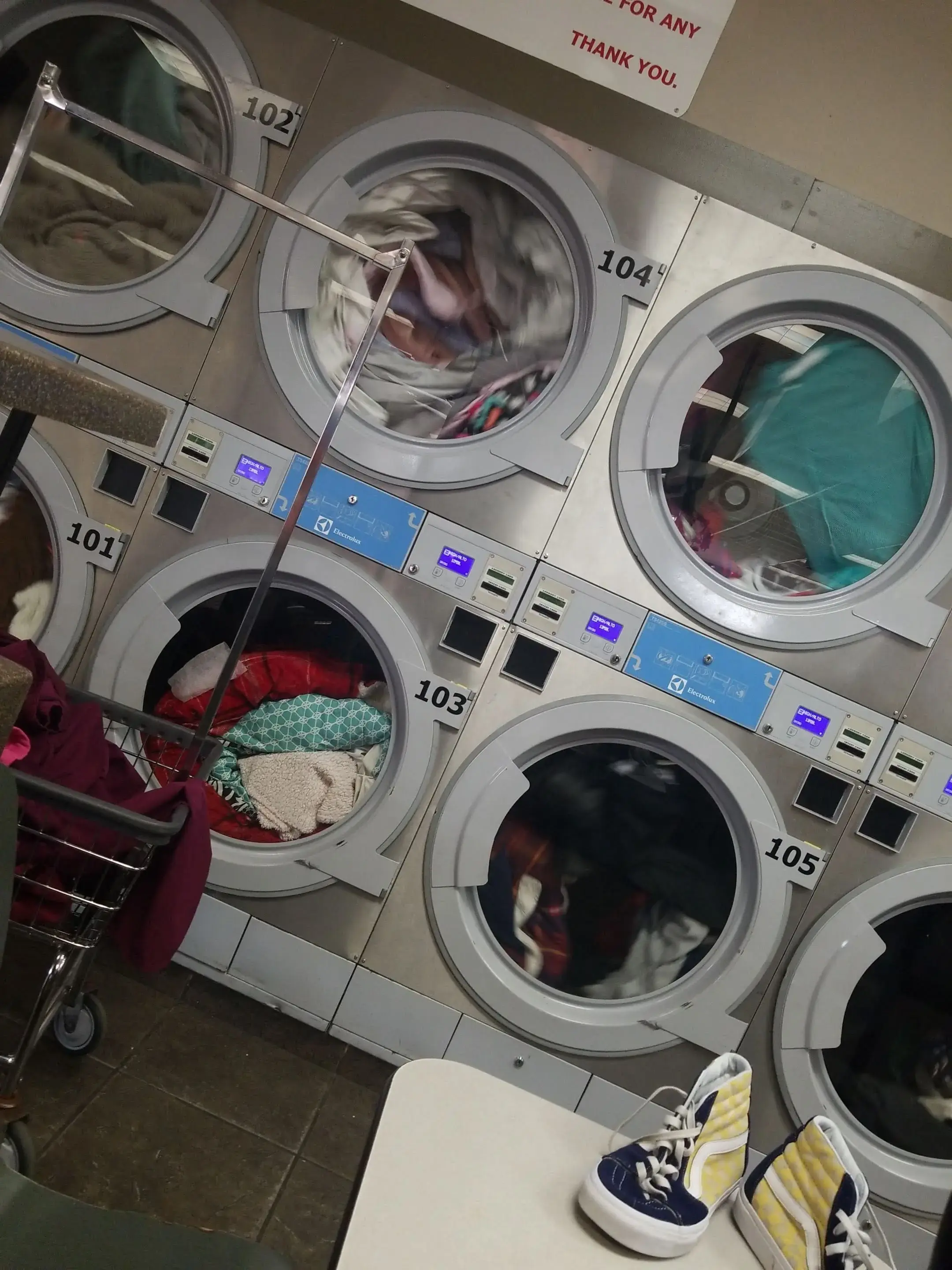 K Laundry thumbnail 11