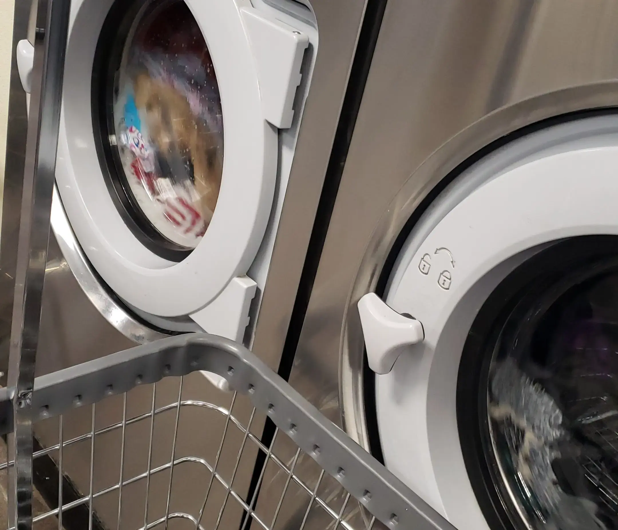 K Laundry - Image 7