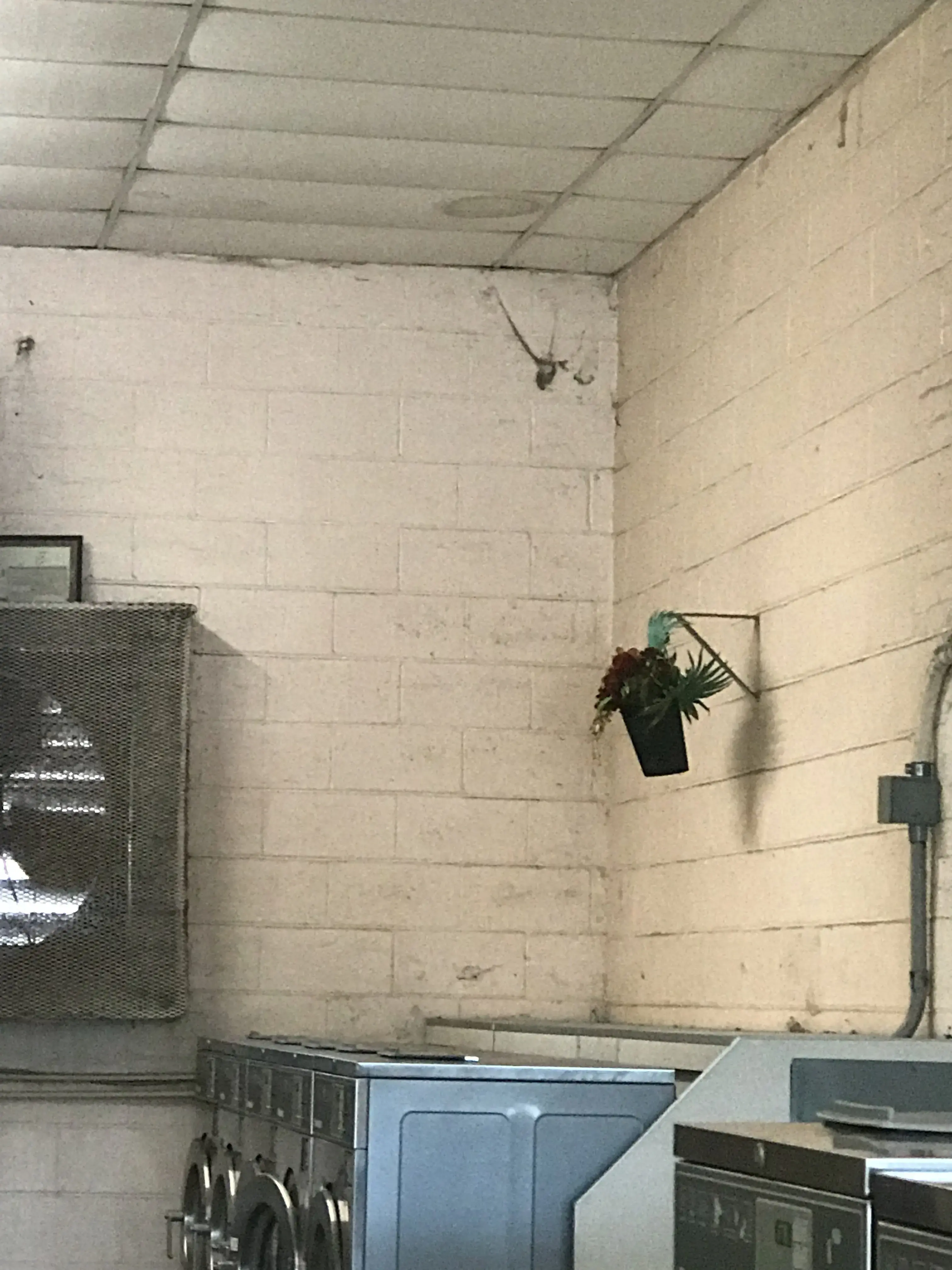 KAWASAKI COIN LAUNDRY AND DRY CLEANERS - Image 8