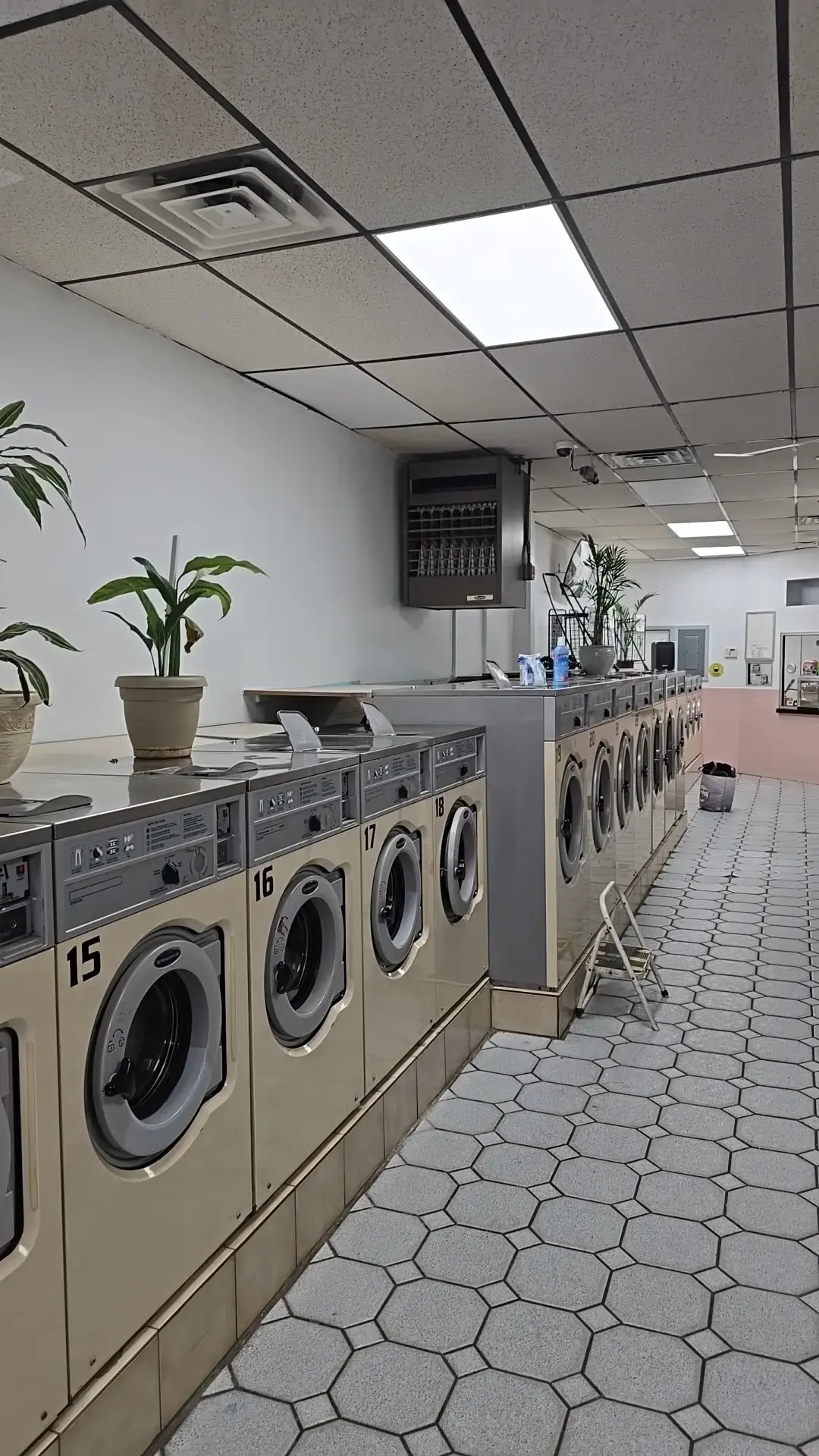 Keep It Clean Laundry - Image 6