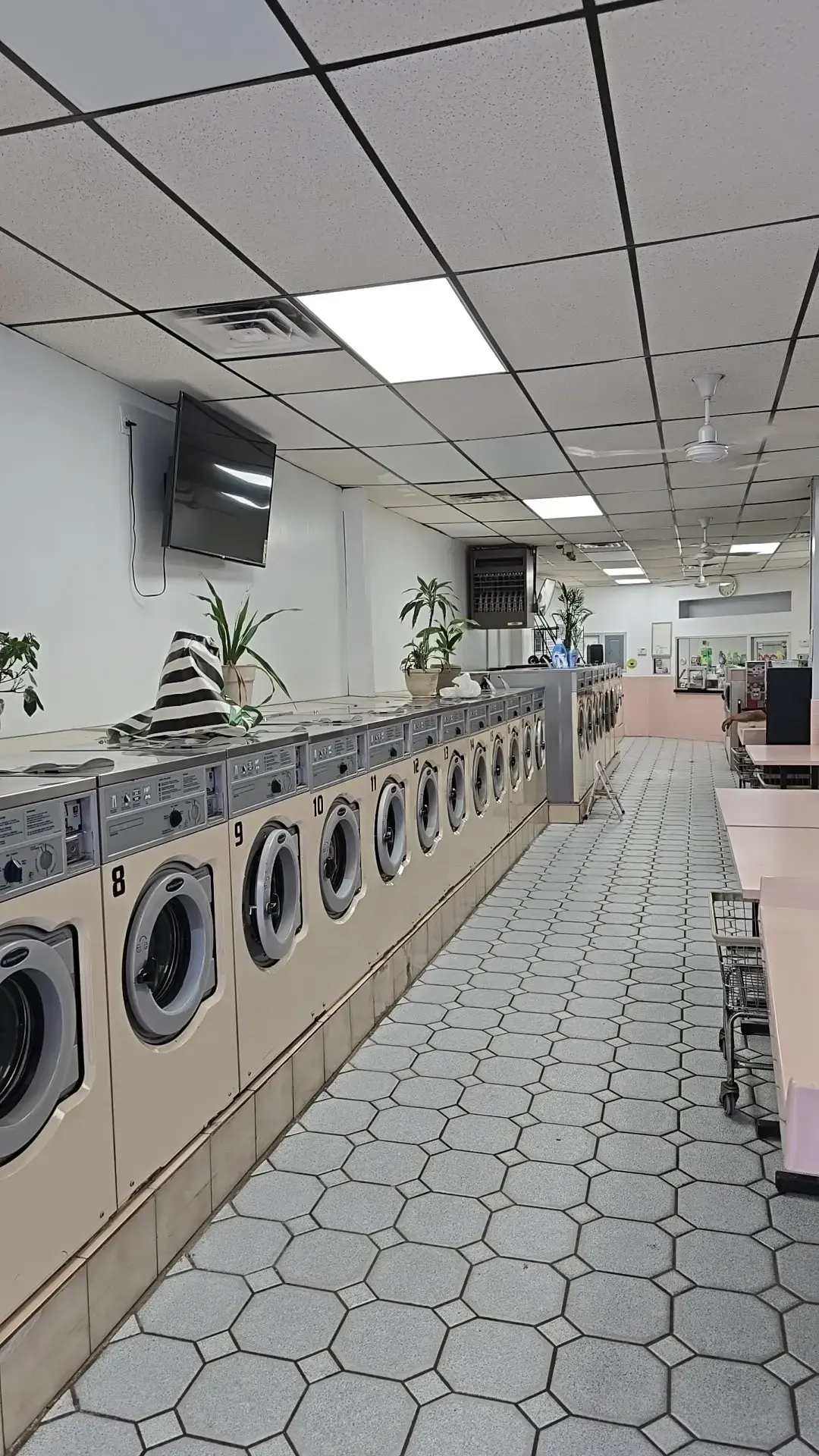 Keep It Clean Laundry - Image 3