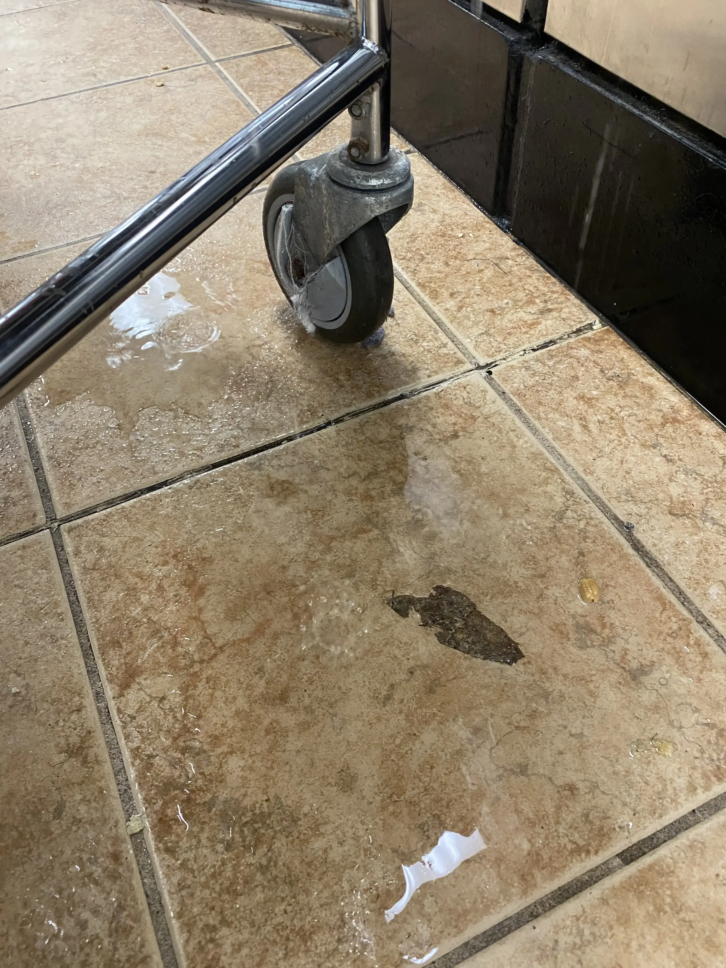 Kenwood Laundromat - Image 11