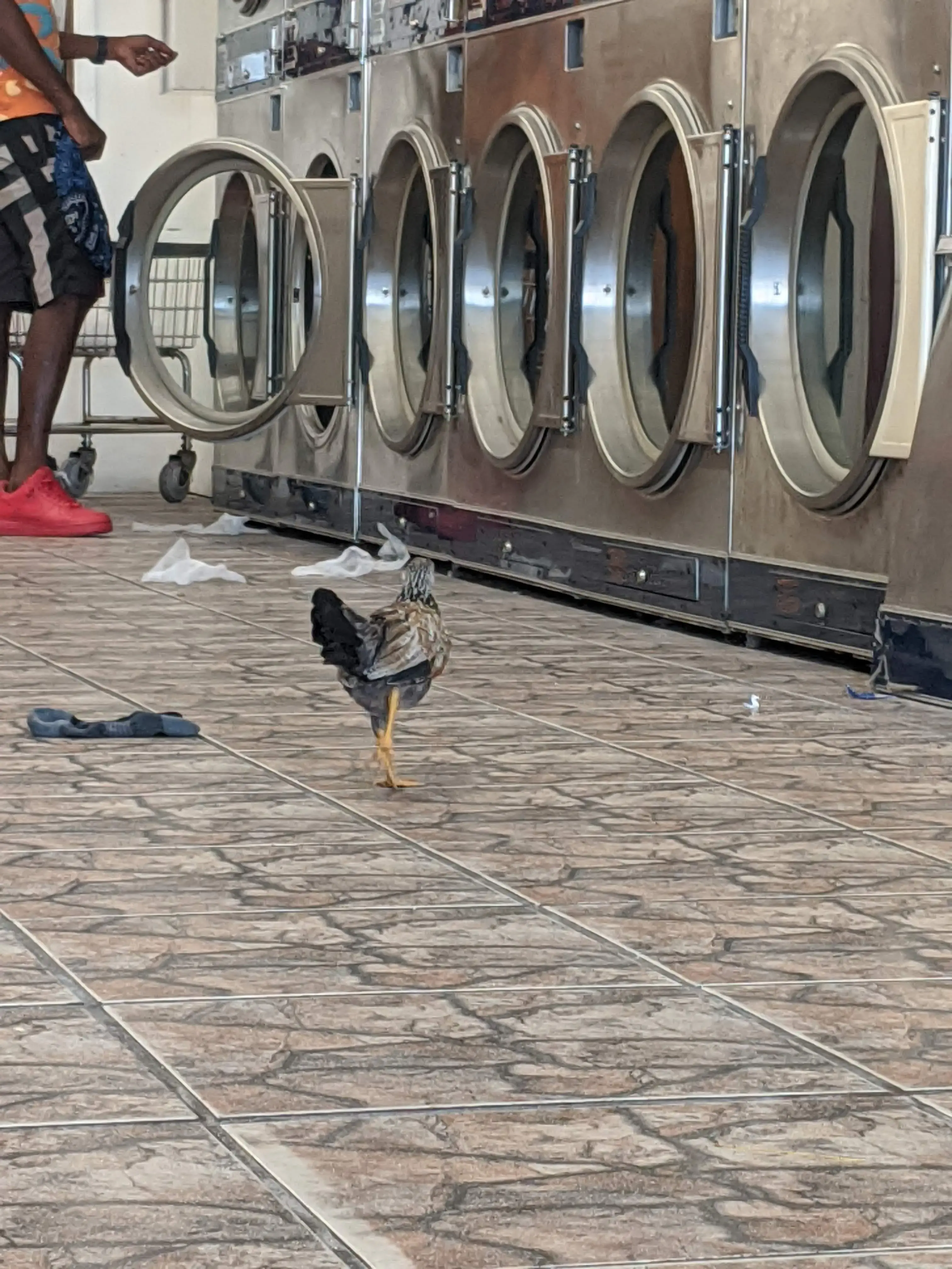 Key West Launderette - Image 5