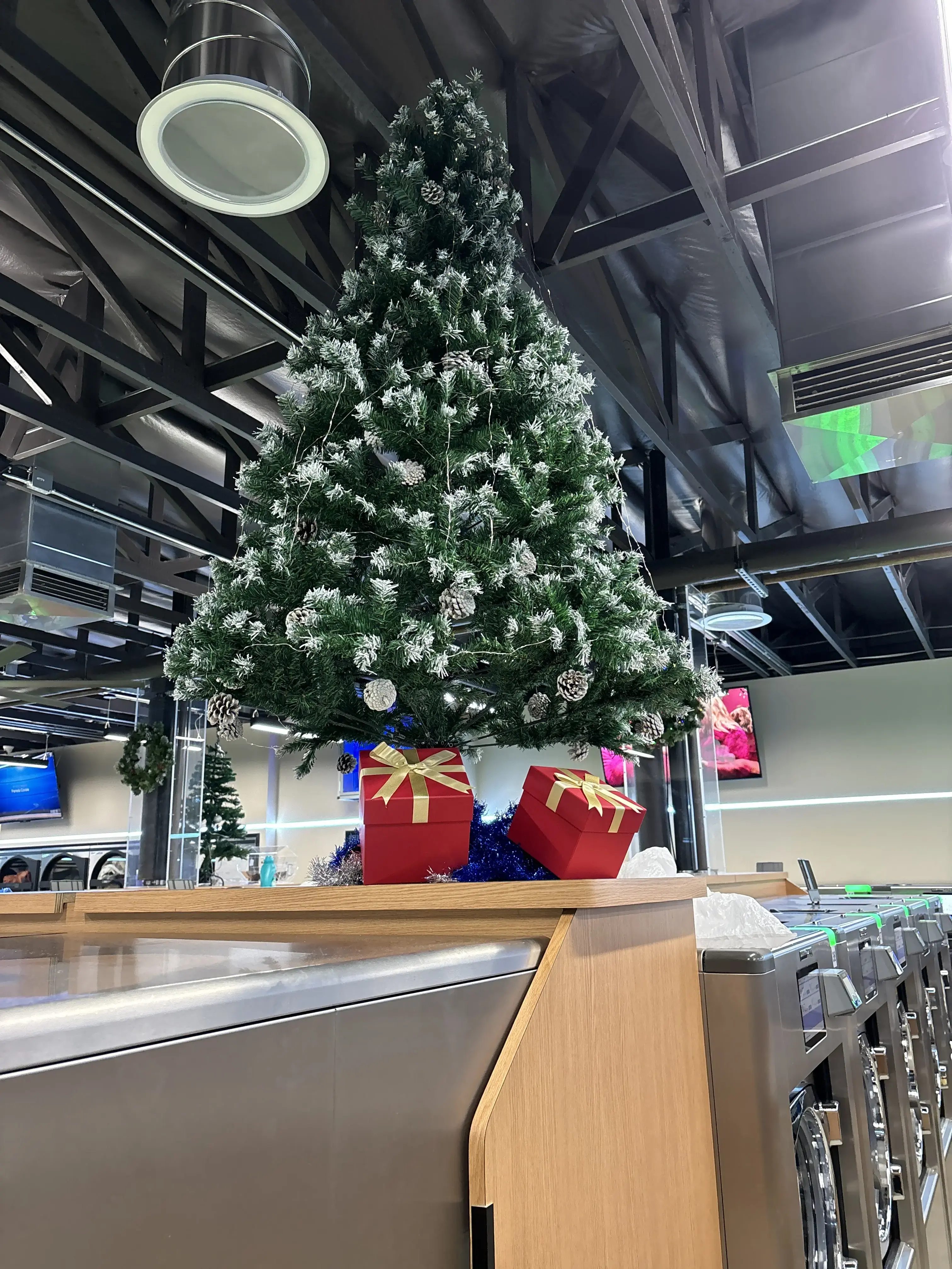 King Laundry - Image 11