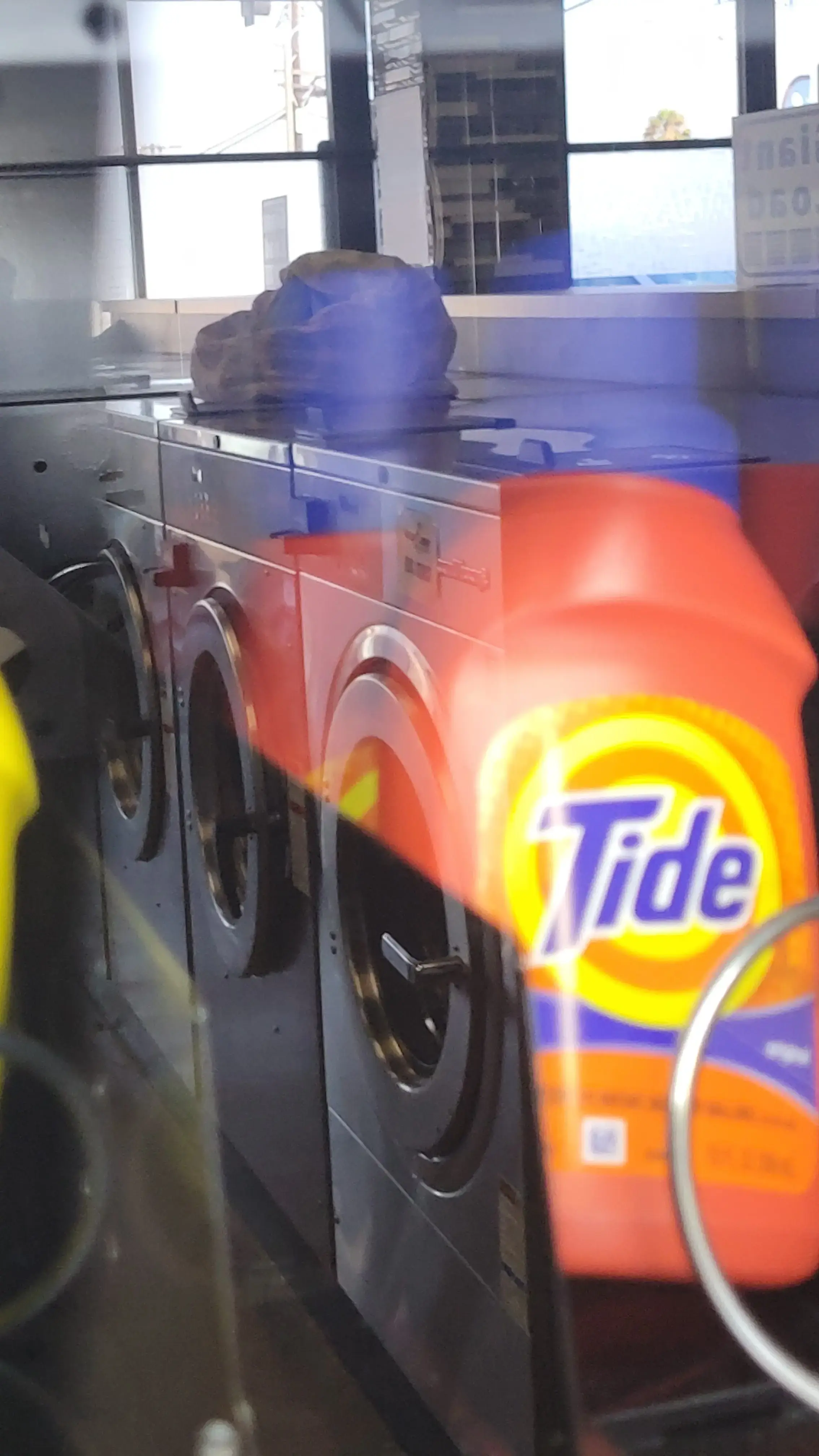 King Pelican Laundromat thumbnail 14