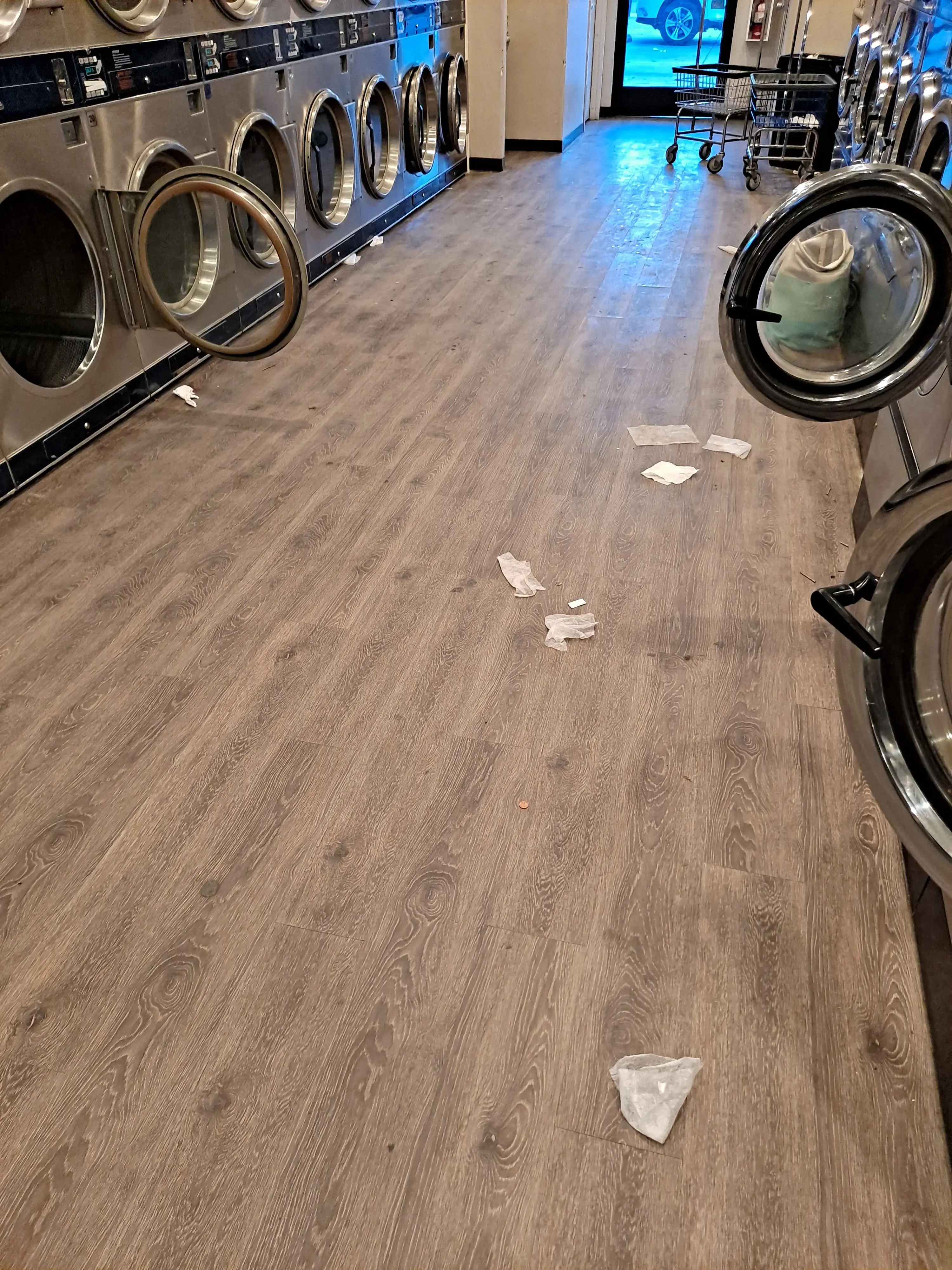 Kingsburgs Laundry Room thumbnail 9