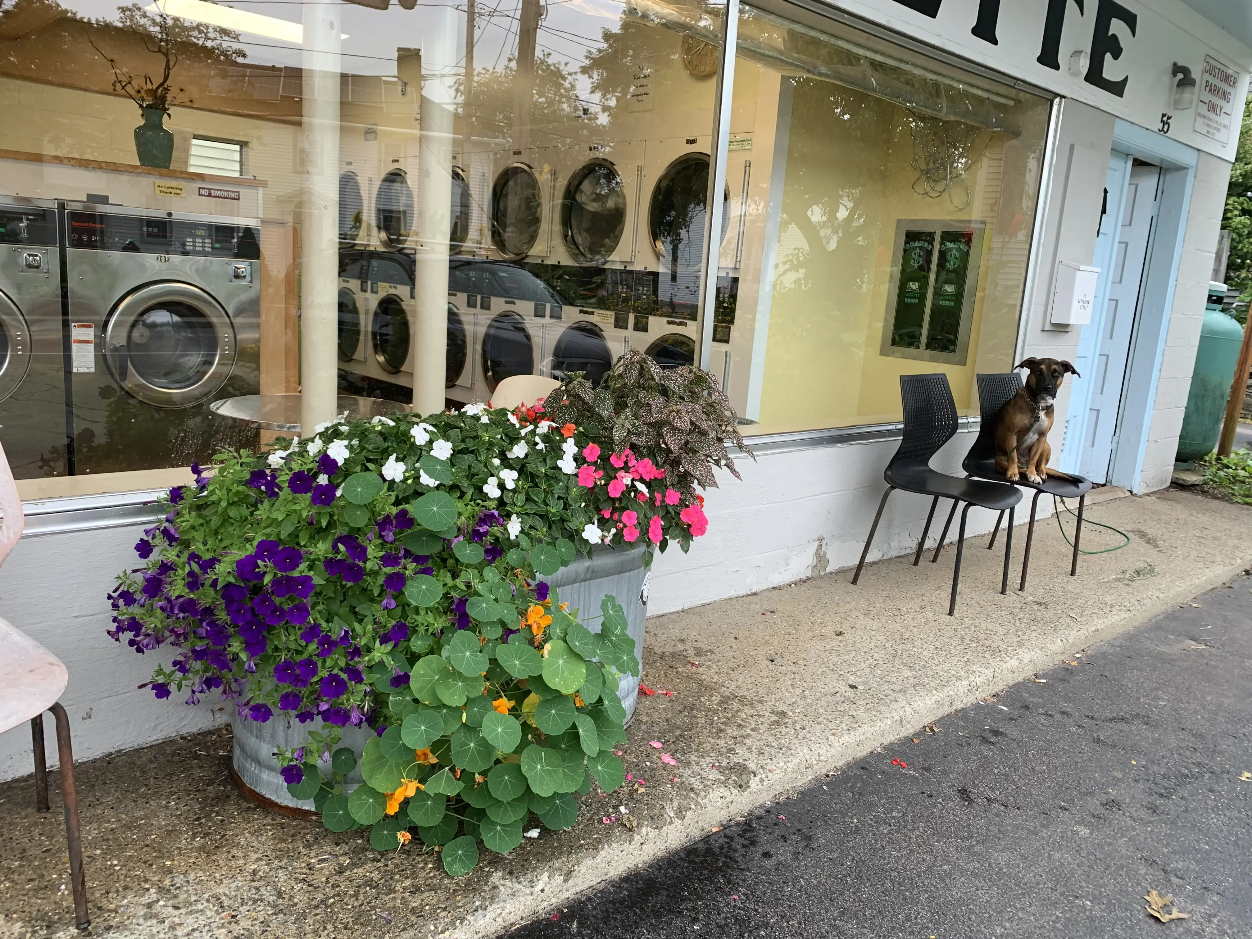 Kittery Maytag Launderette thumbnail 11