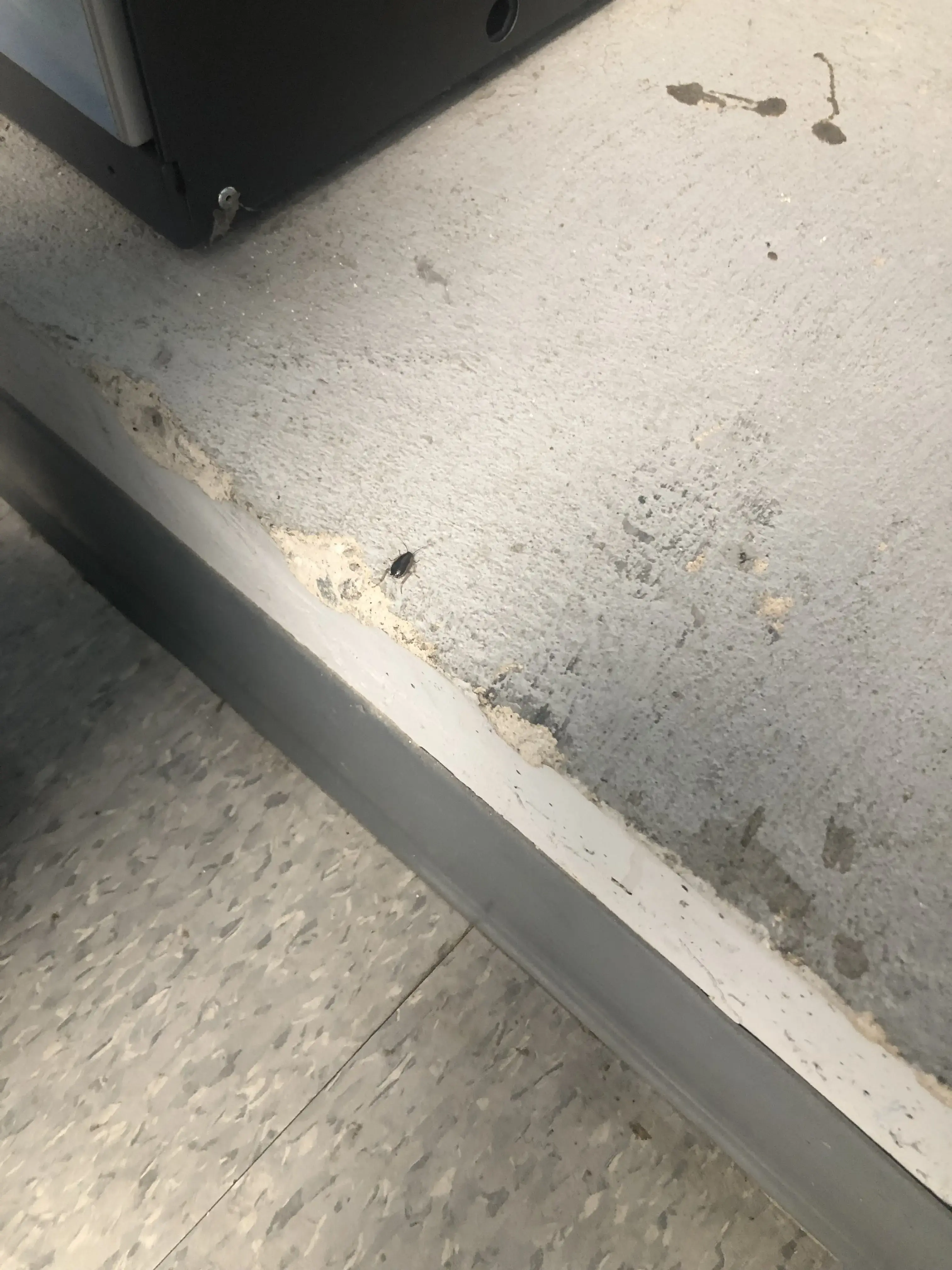 Klassy Klean @Windjammer thumbnail 5