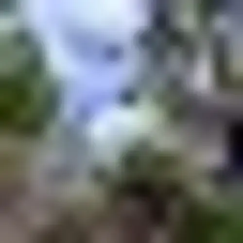 Kleen-A-Matic thumbnail 4
