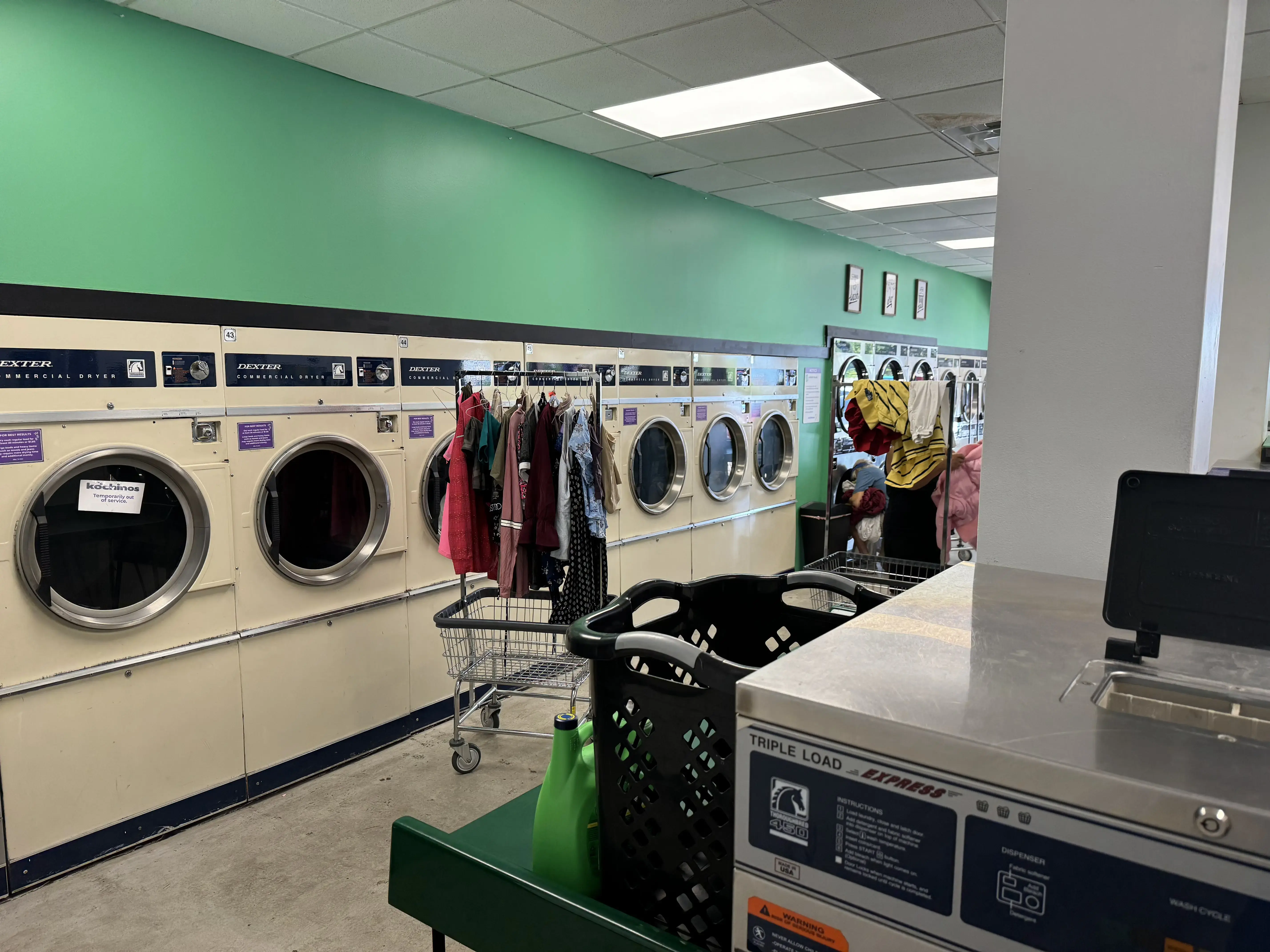 Kochinos Laundry thumbnail 3