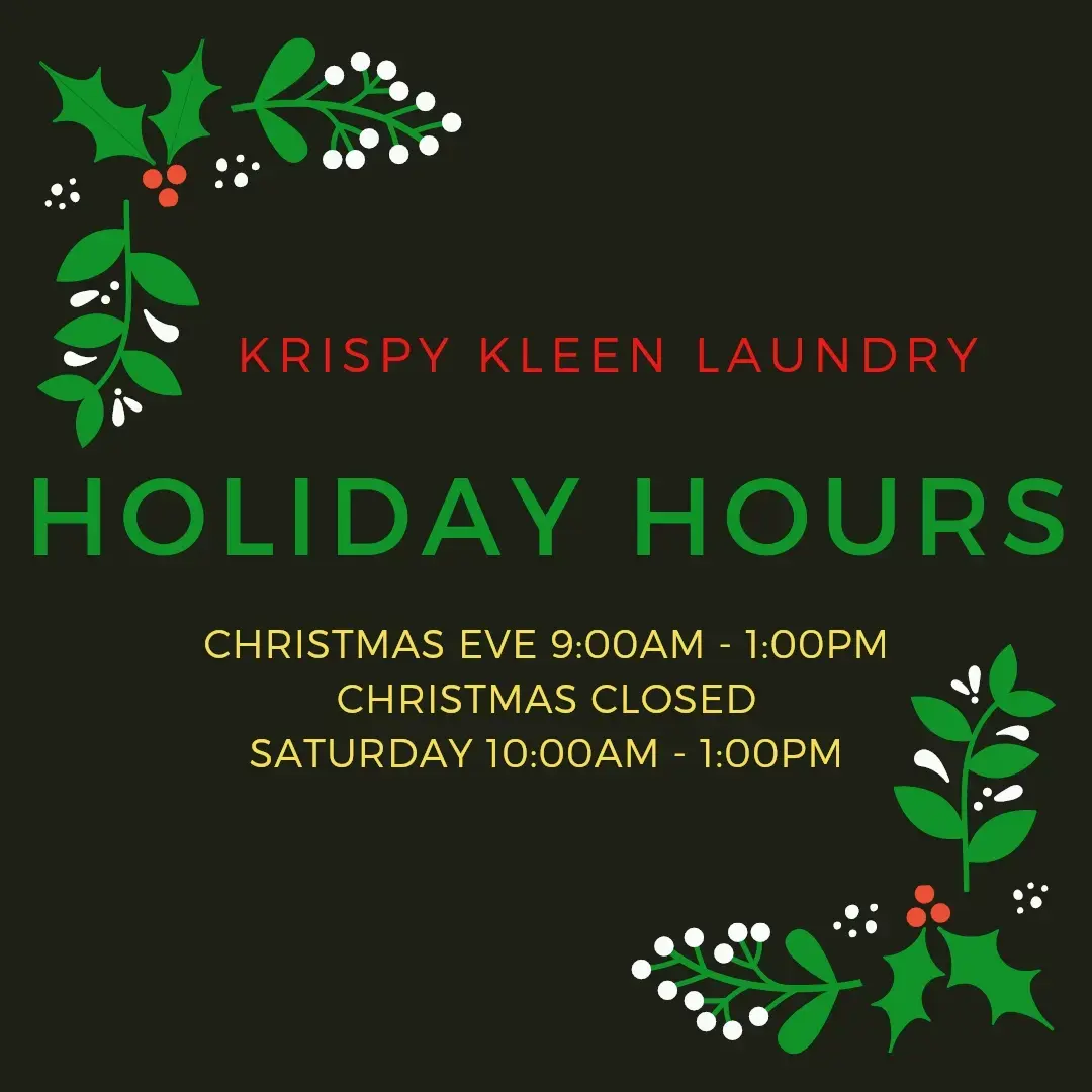 Krispy Kleen Mobile Laundry - Image 13