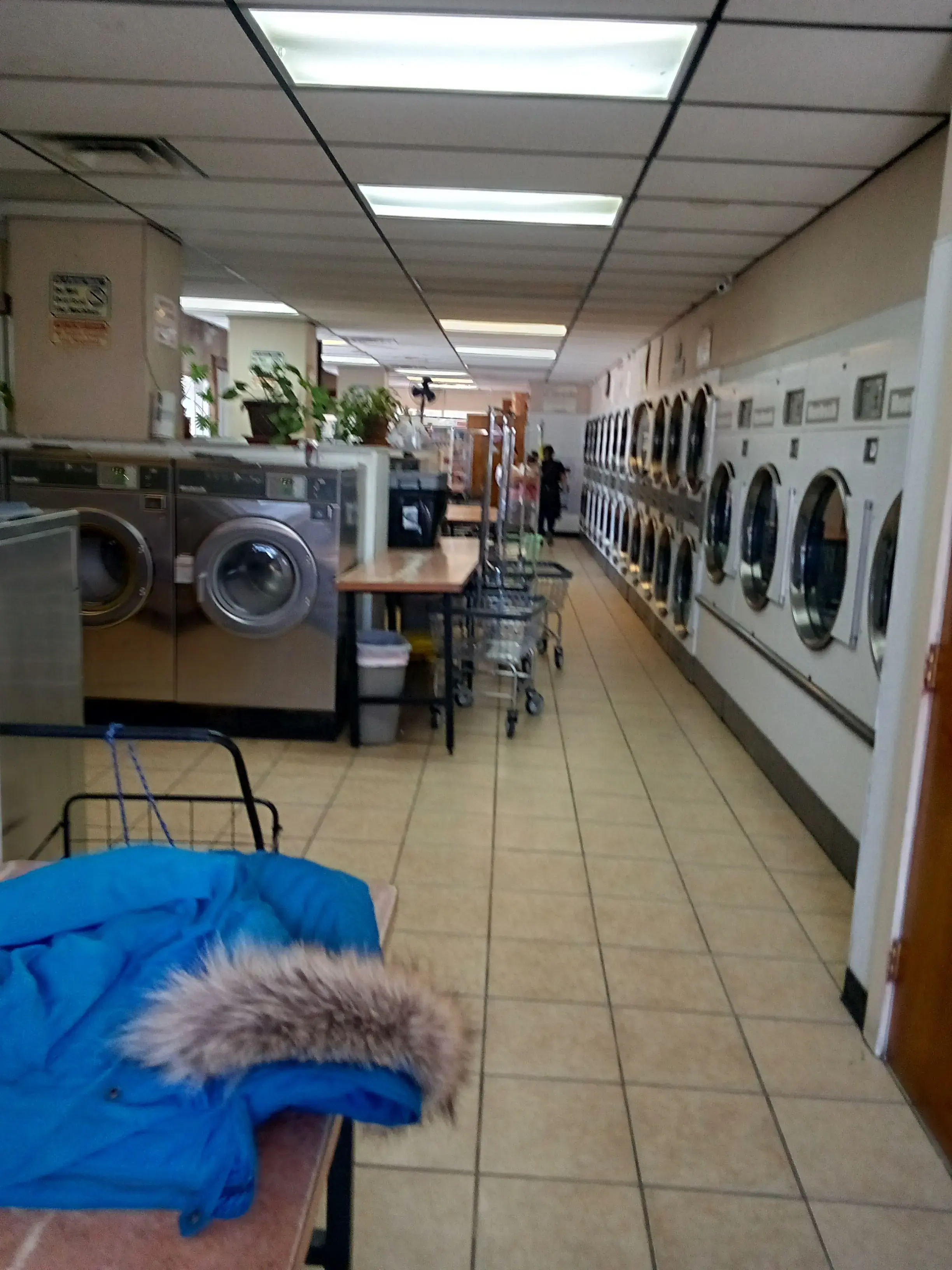 La Chiquita Laundry - Image 6