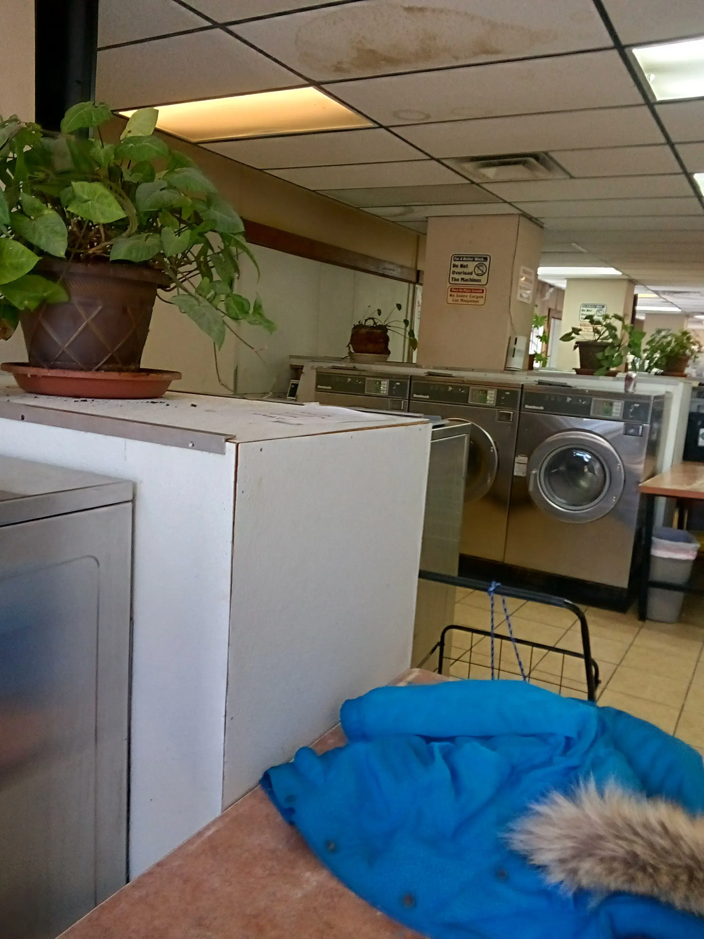 La Chiquita Laundry thumbnail 3