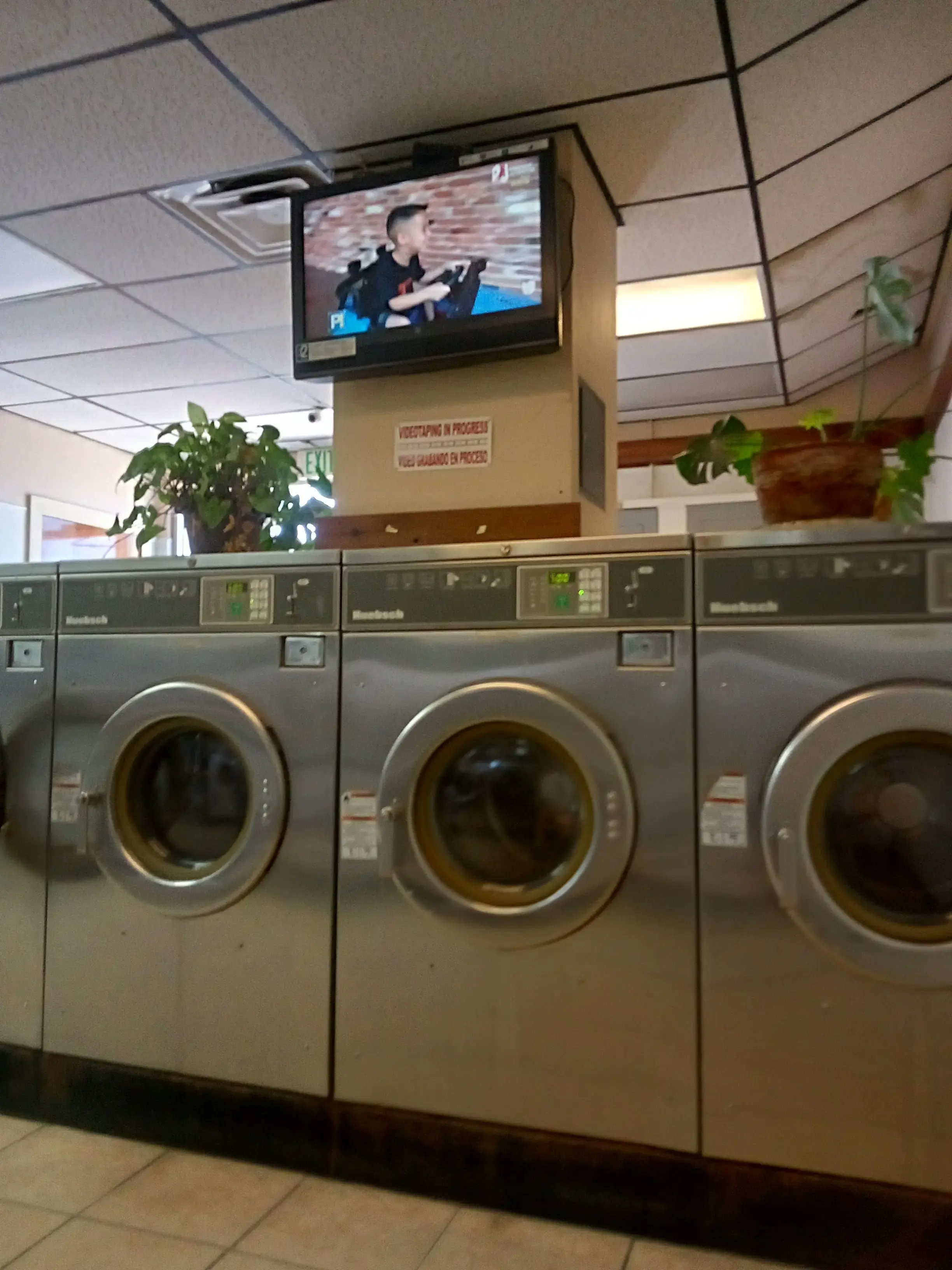La Chiquita Laundry - Image 5