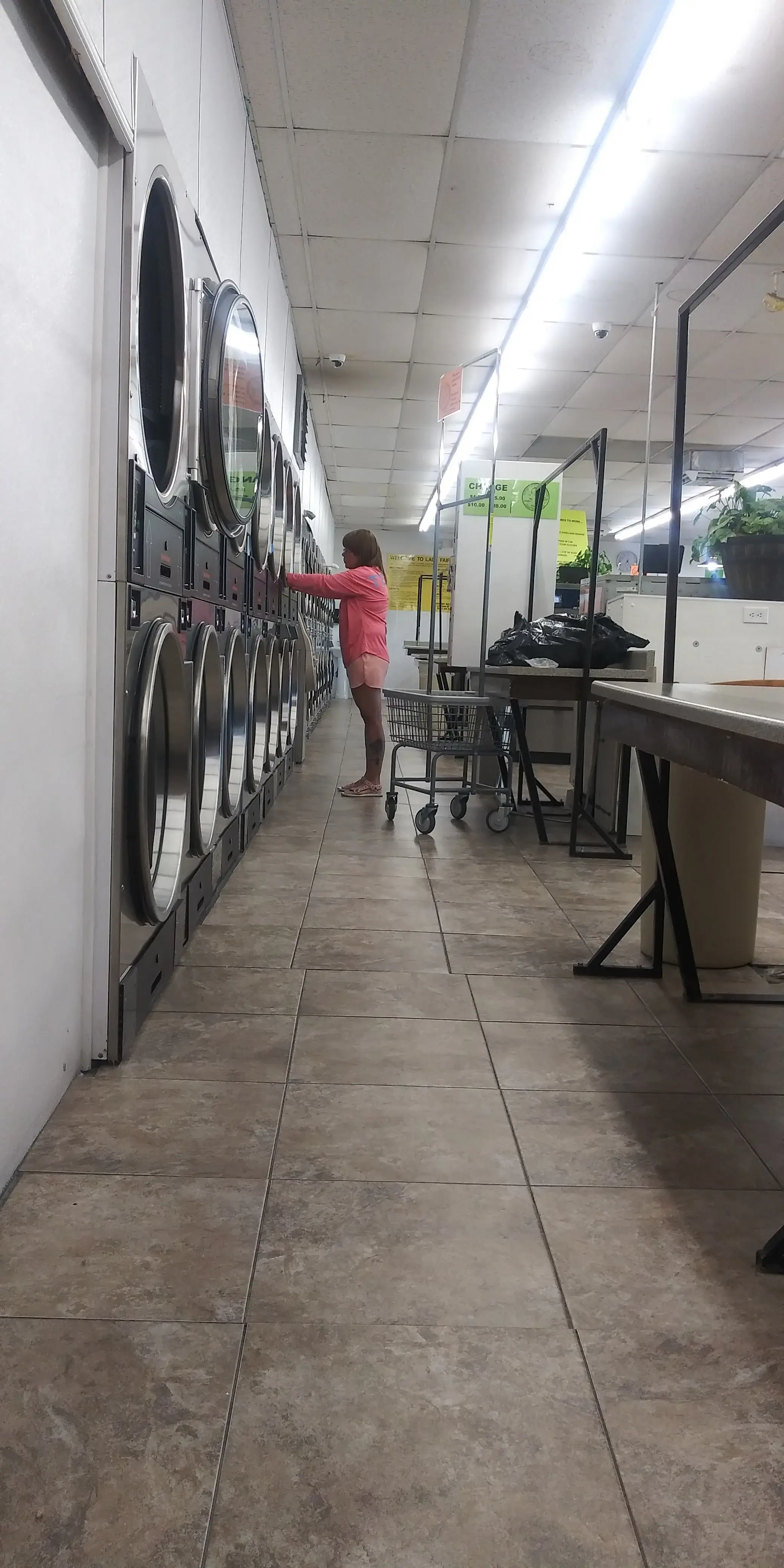 Lady Fair Laundry thumbnail 14