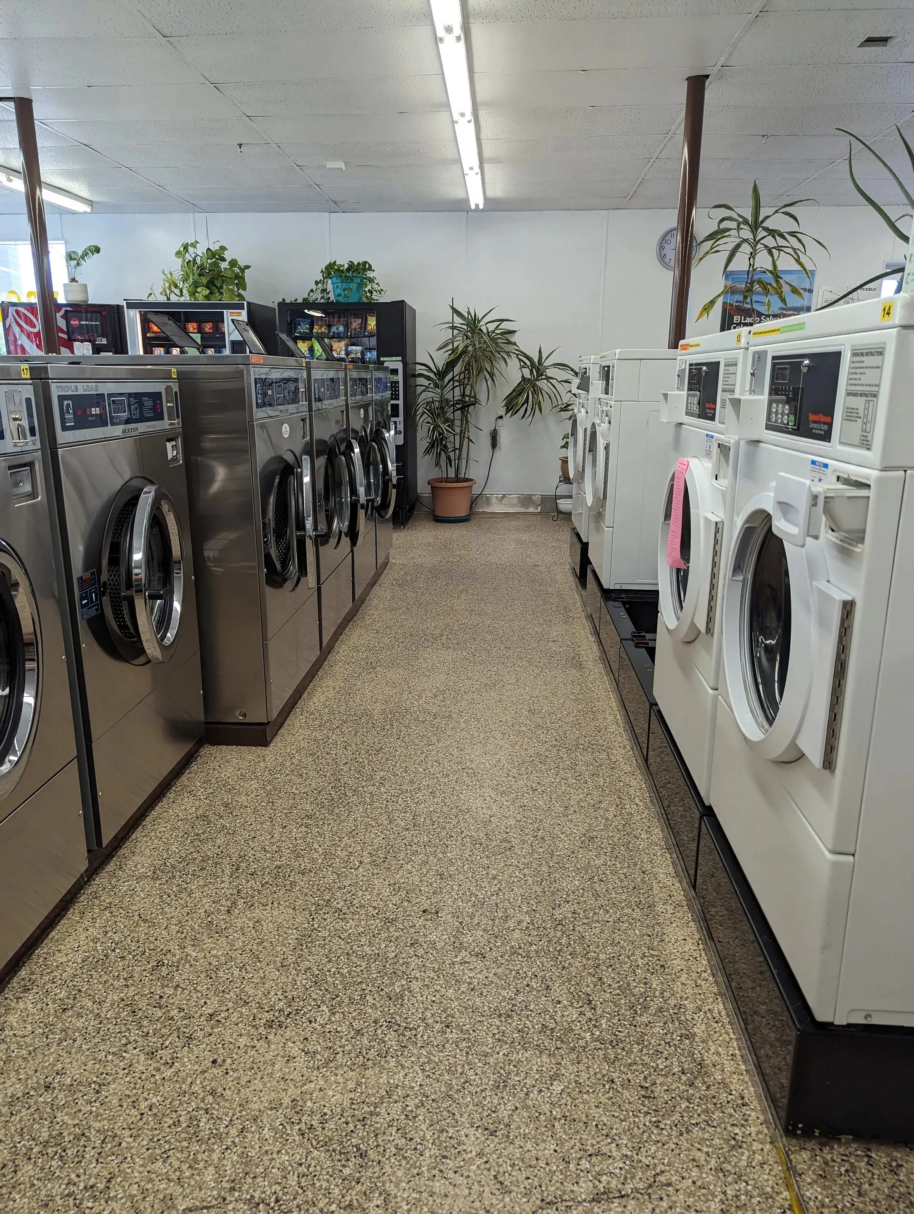 Lady Fair Laundry - Image 10
