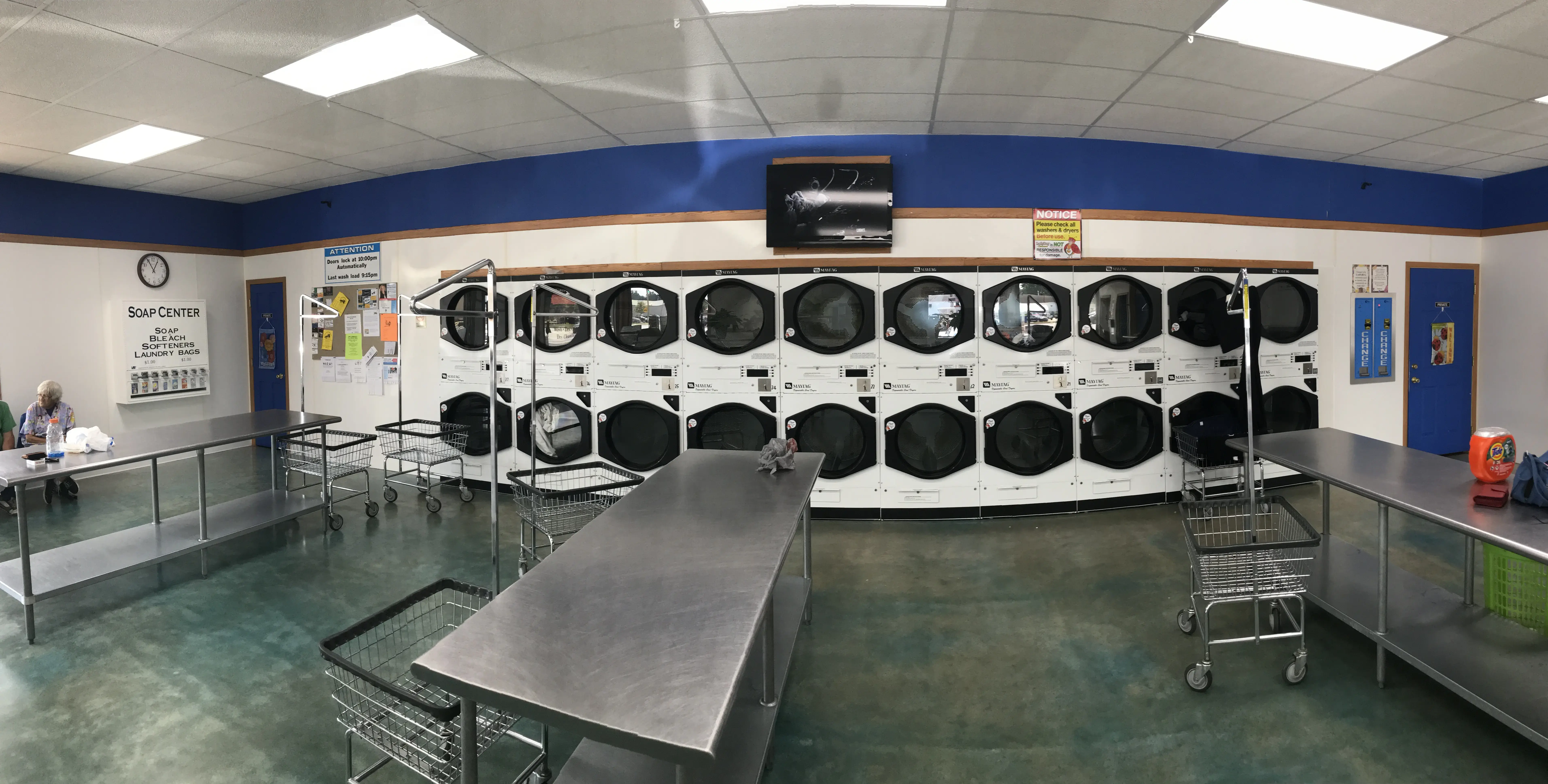 Ladybug Laundry and Carwash thumbnail 20