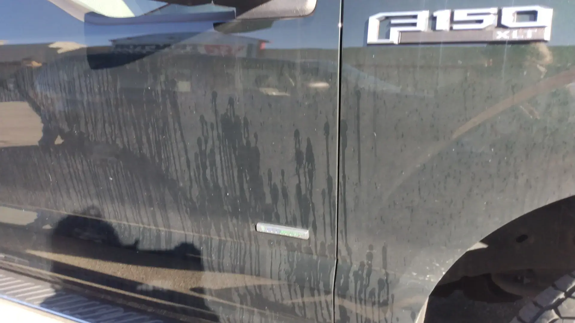 Ladybug Laundry and Carwash thumbnail 9