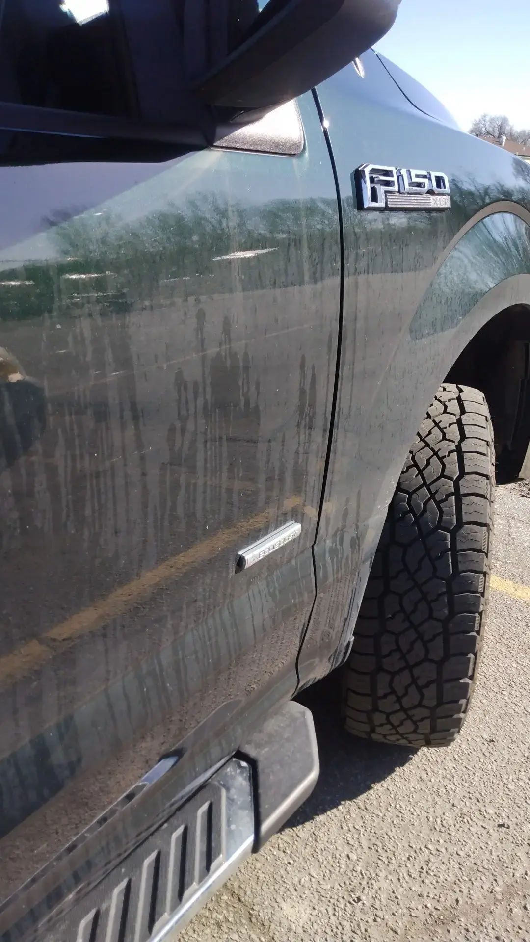 Ladybug Laundry and Carwash thumbnail 11