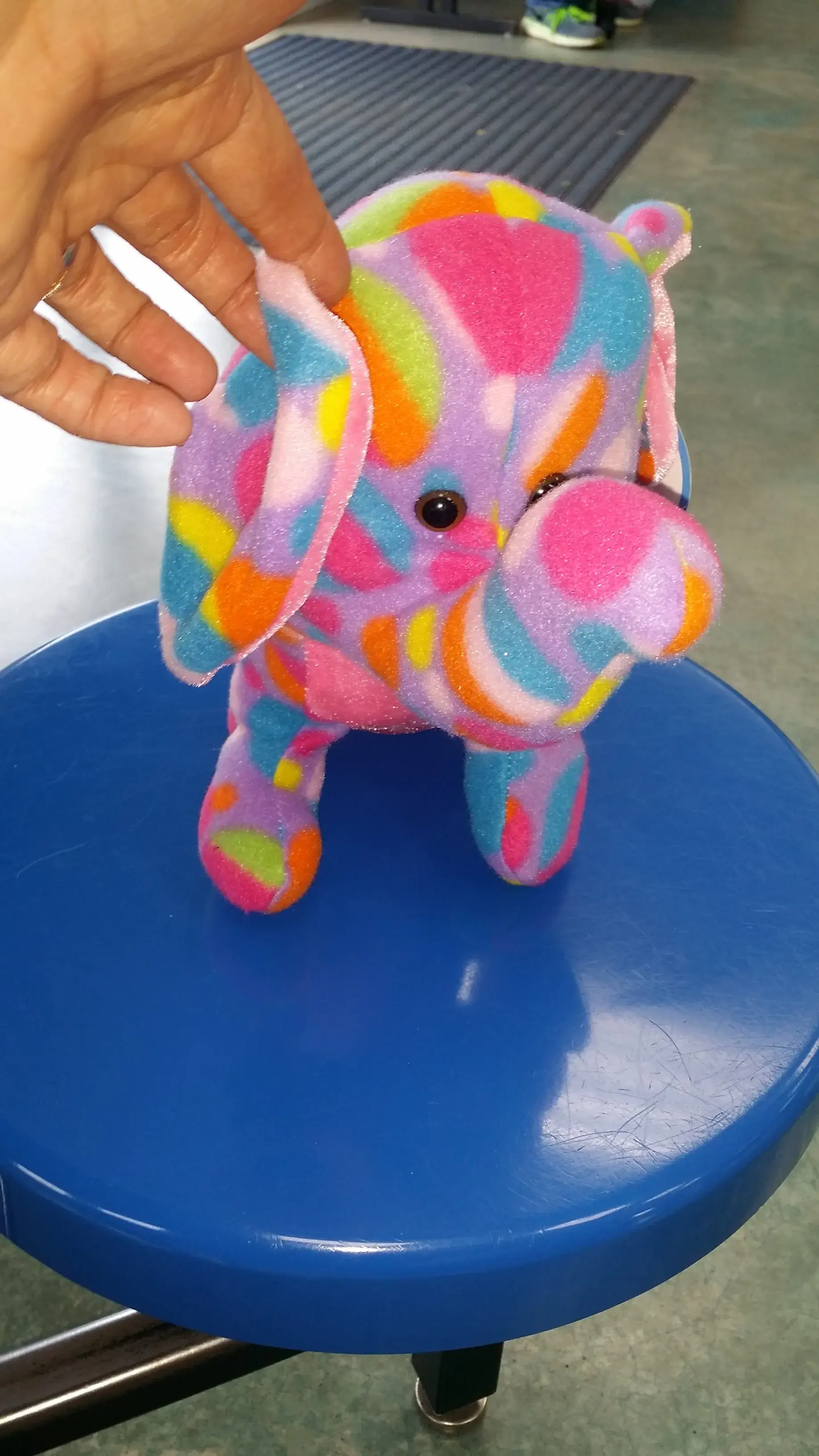 Ladybug Laundry and Carwash thumbnail 14