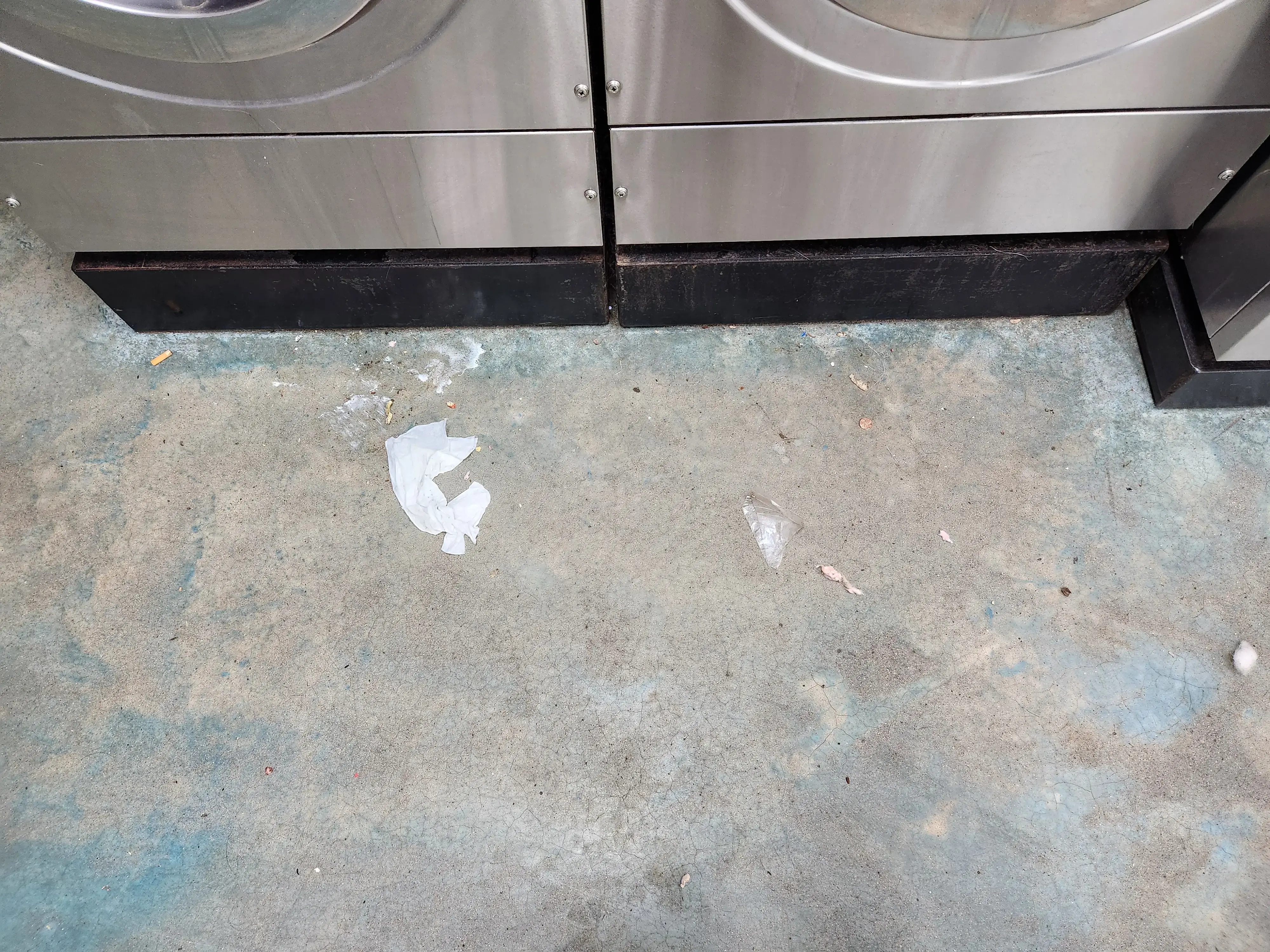 Ladybug Laundry and Carwash thumbnail 15